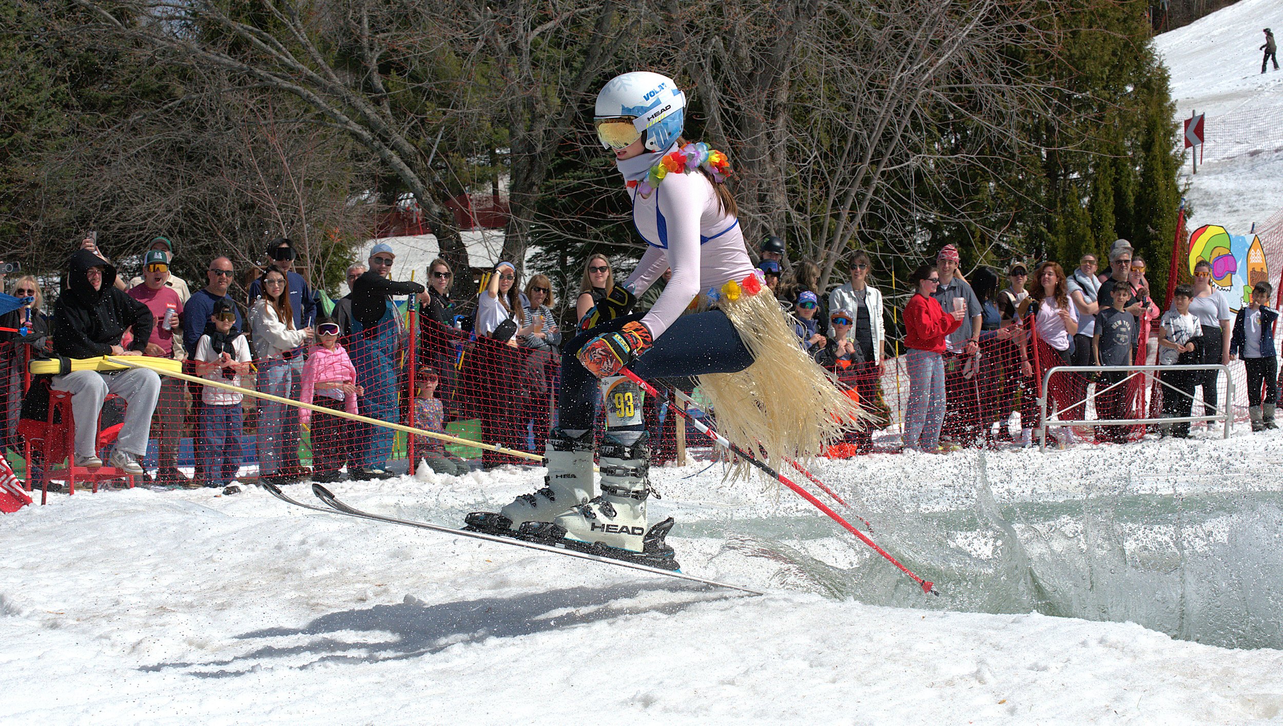 DSC_6201.jpg