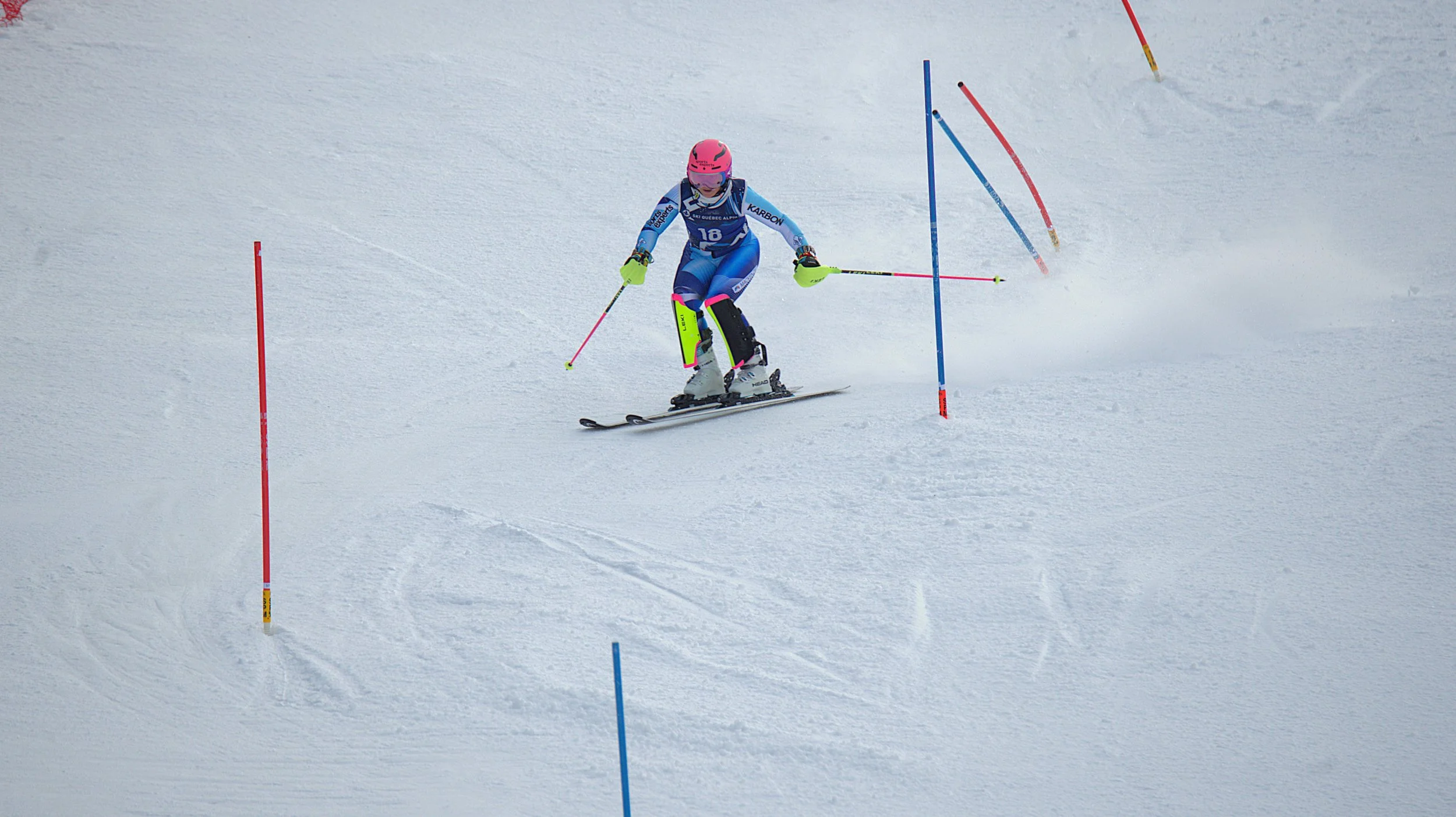 DSC_7749.jpg