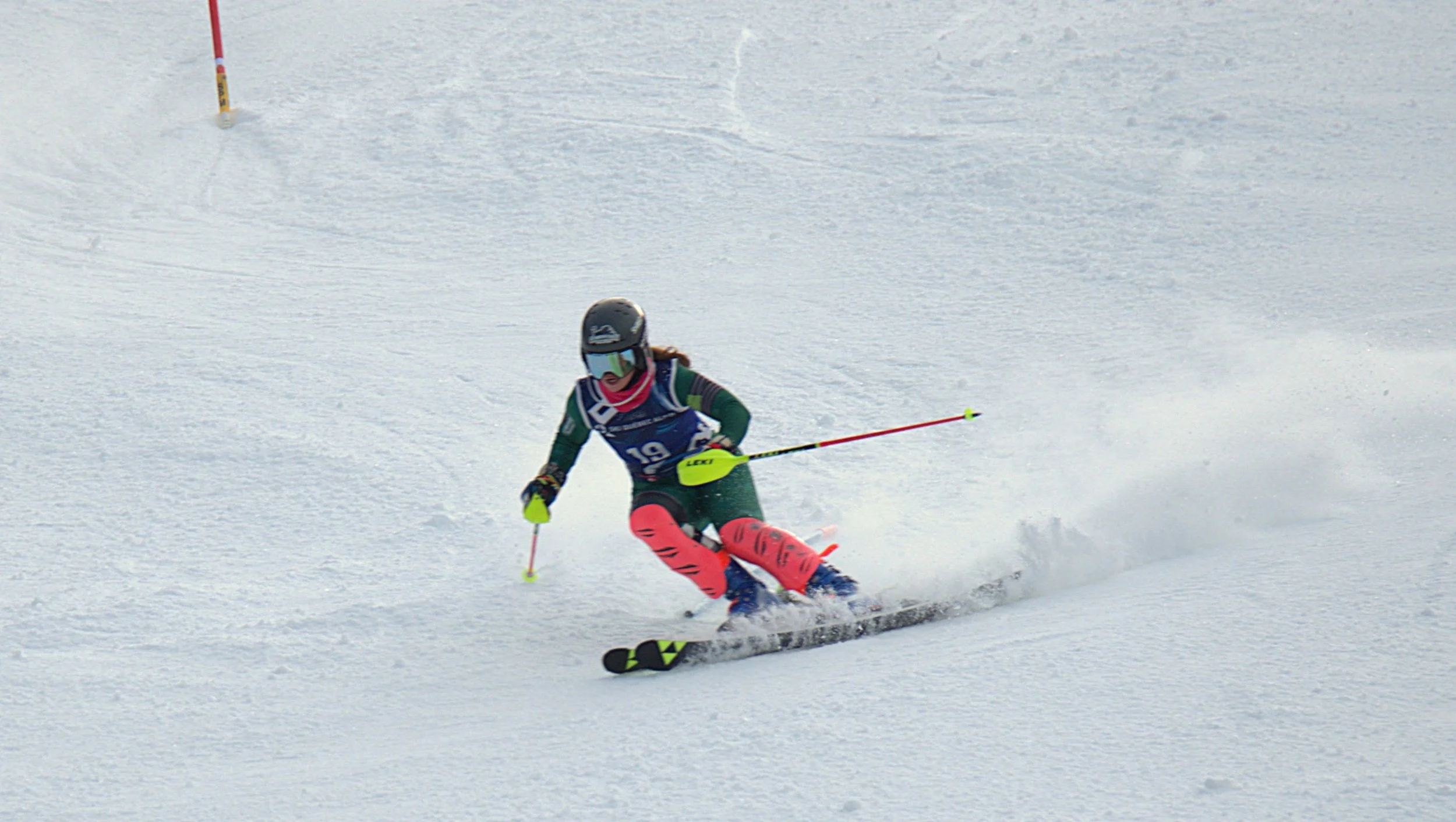 DSC_7760.jpg