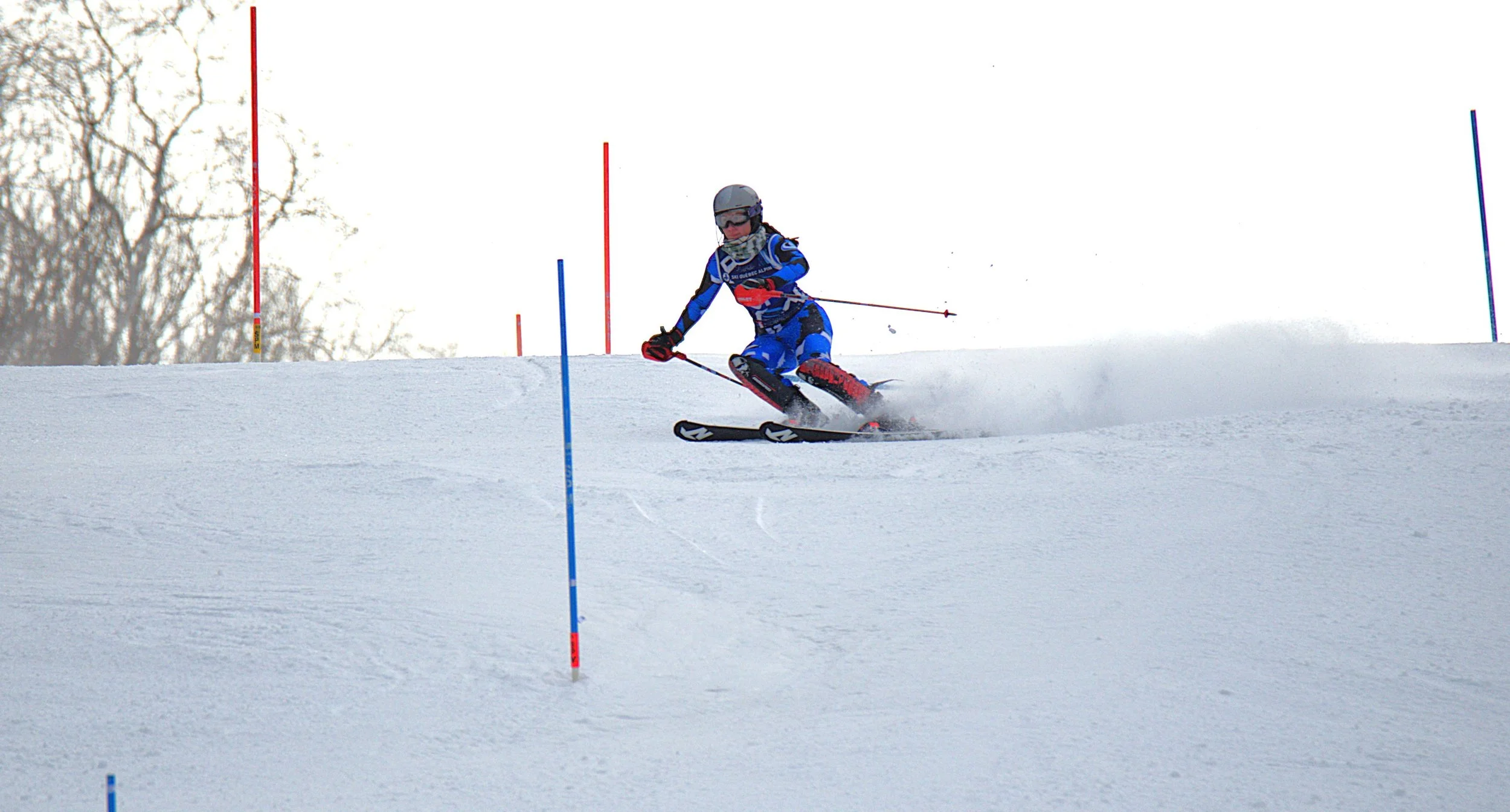 DSC_7958.jpg