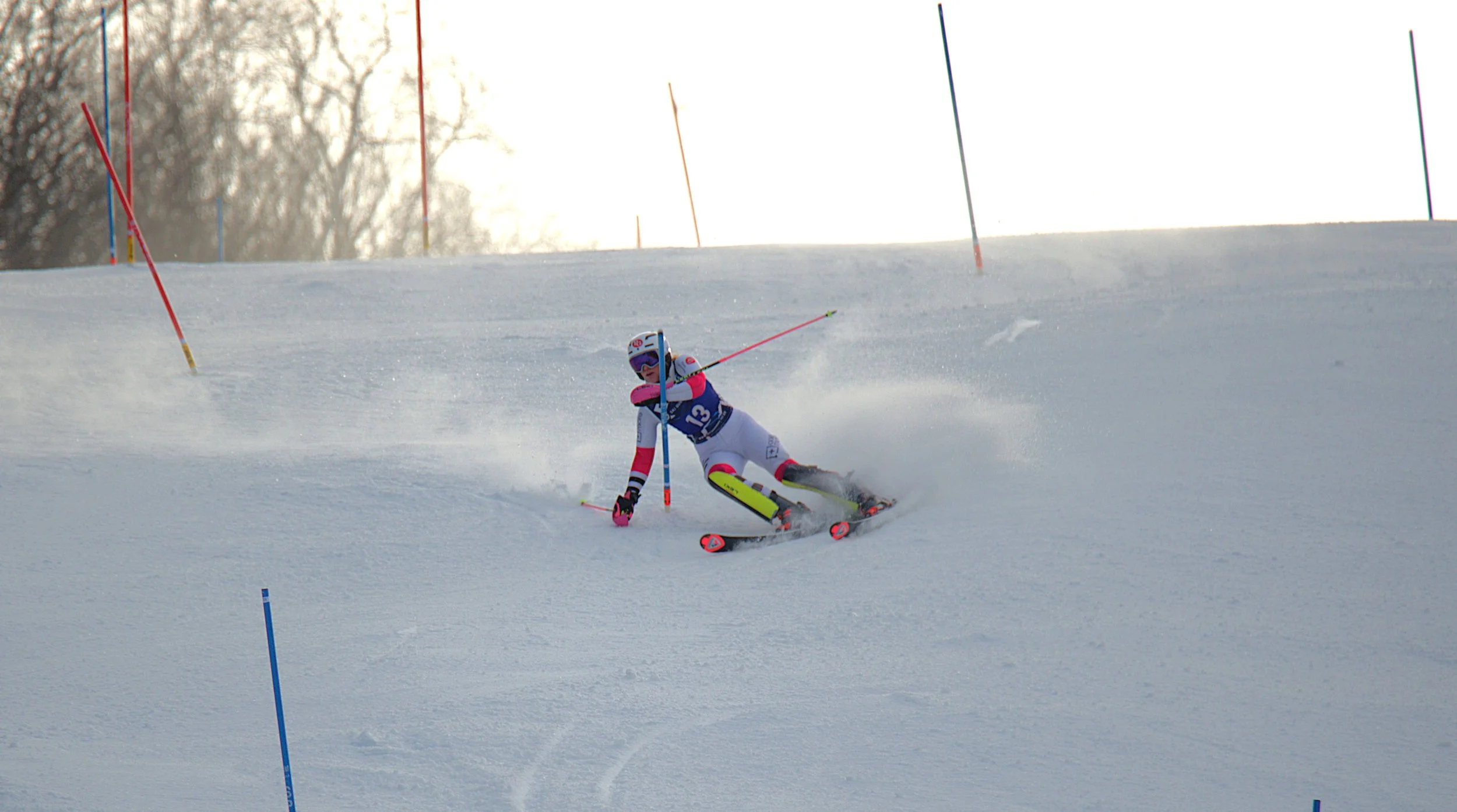 DSC_7714.jpg