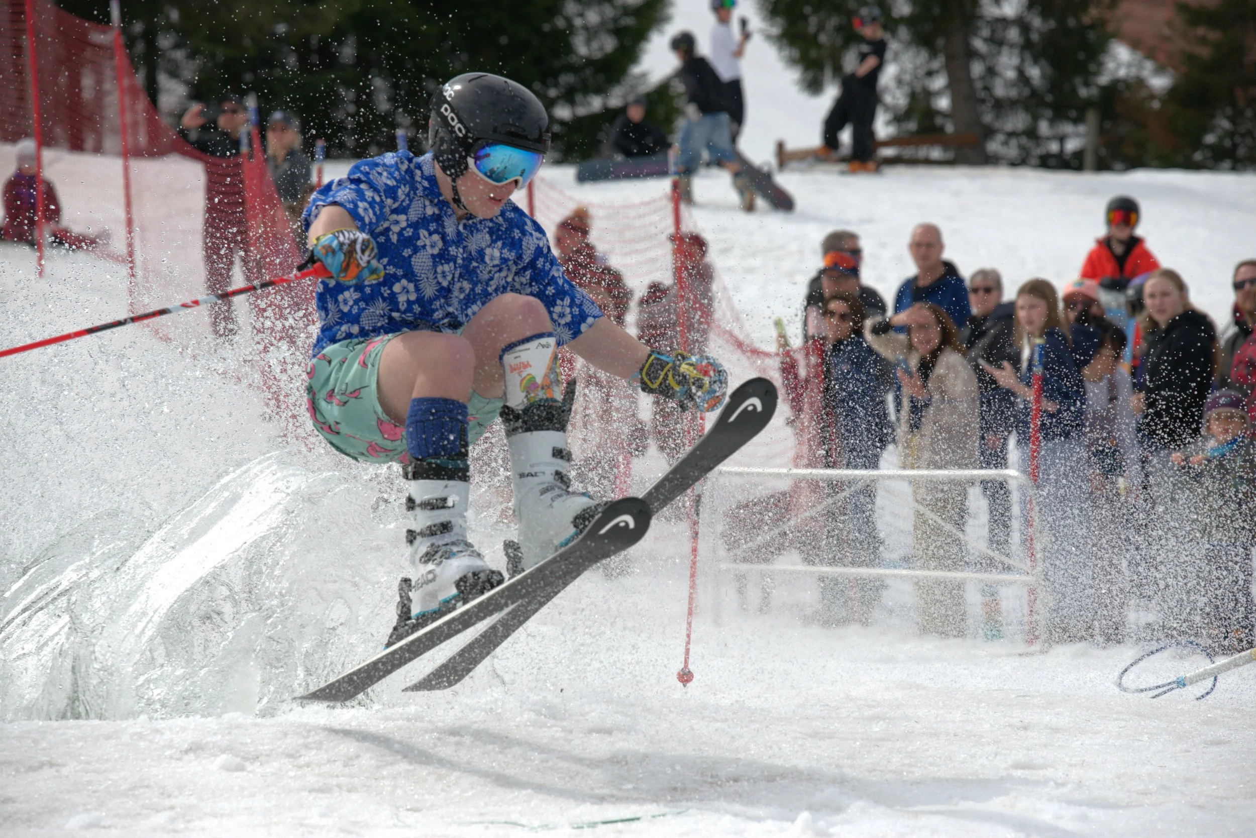 DSC_5493.jpg