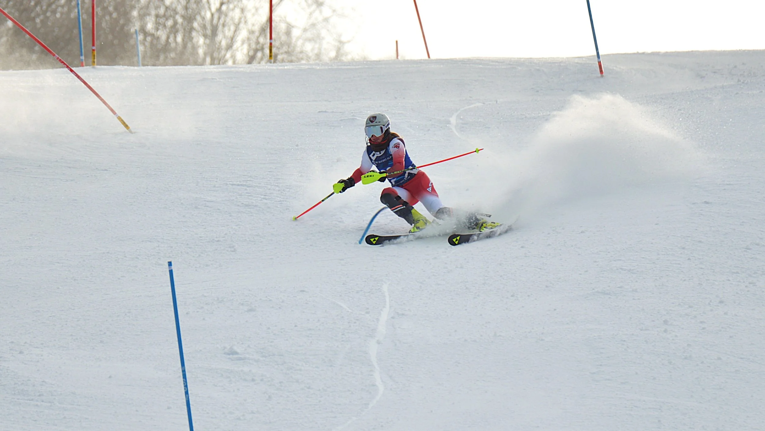 DSC_7798.JPG