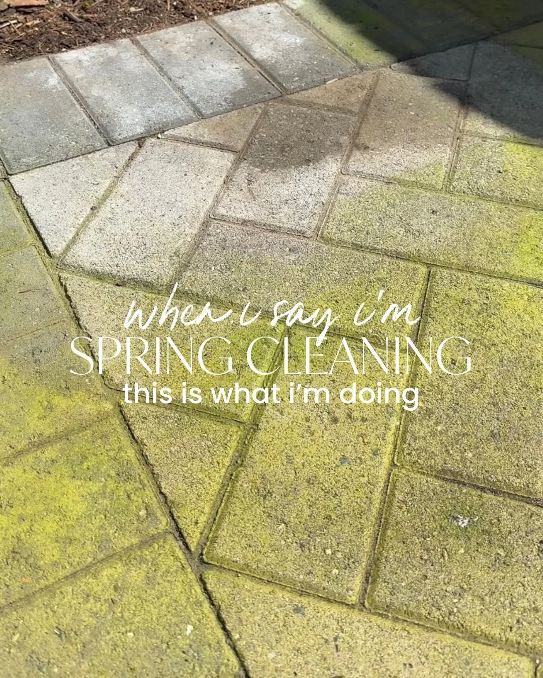 Does anything feel as good as cleaning? I think not! I put together a list of my favorite spring cleaning tools and products that I use for these jobs and tasks. Comment SPRING and I&rsquo;ll send you the list! 🫶🏻🫧🔗

These tasks aren&rsquo;t part