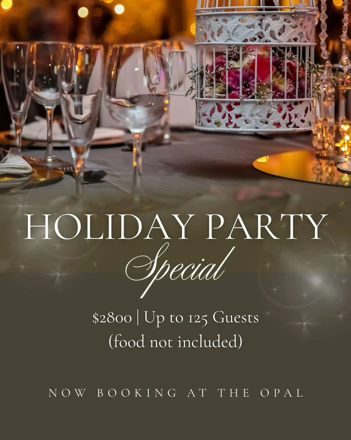 Our holiday party special is here ✨
For a limited time, you can rent The Opal for your holiday party for $2,800 for up to 125 guests. Planning a bigger group? Each additional guest is only $20.

*Food not included.

This special is only available for