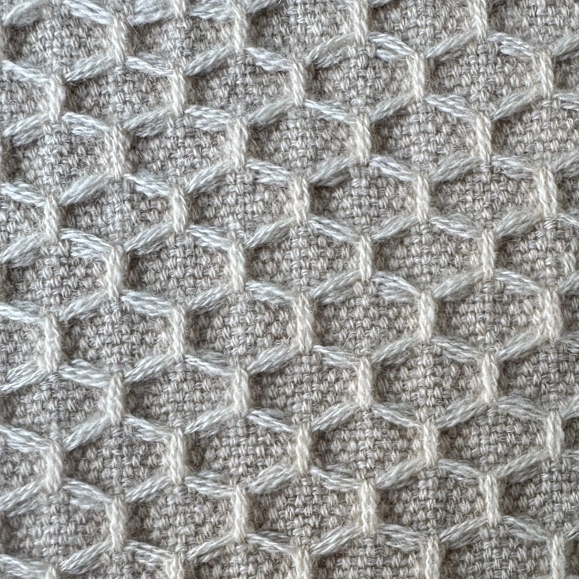 Spider Web