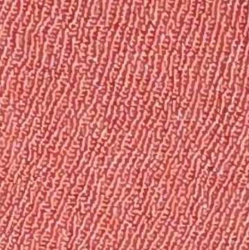 Rose Pink
