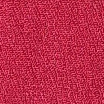 Raspberry