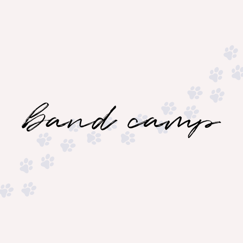 Mighty Sound of the South Band Camp