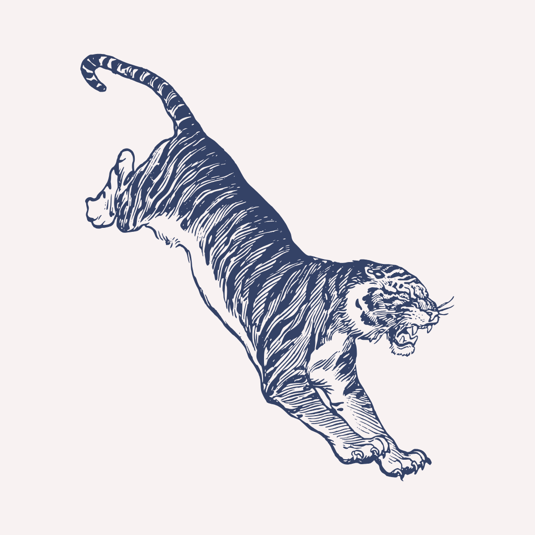 mia winterguard competition