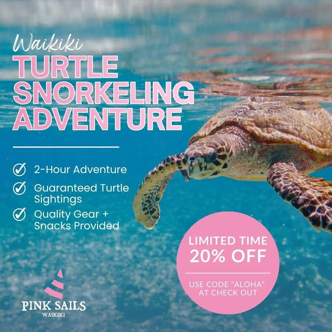 @pinksailswaikiki 

Swim alongside Hawaiian green sea turtles right here in Waikiki 🐢🌊

Our Waikiki Turtle Snorkeling Adventure is a 2-hour ocean experience with guaranteed turtle sightings, quality gear provided, and light snacks included &mdash; 
