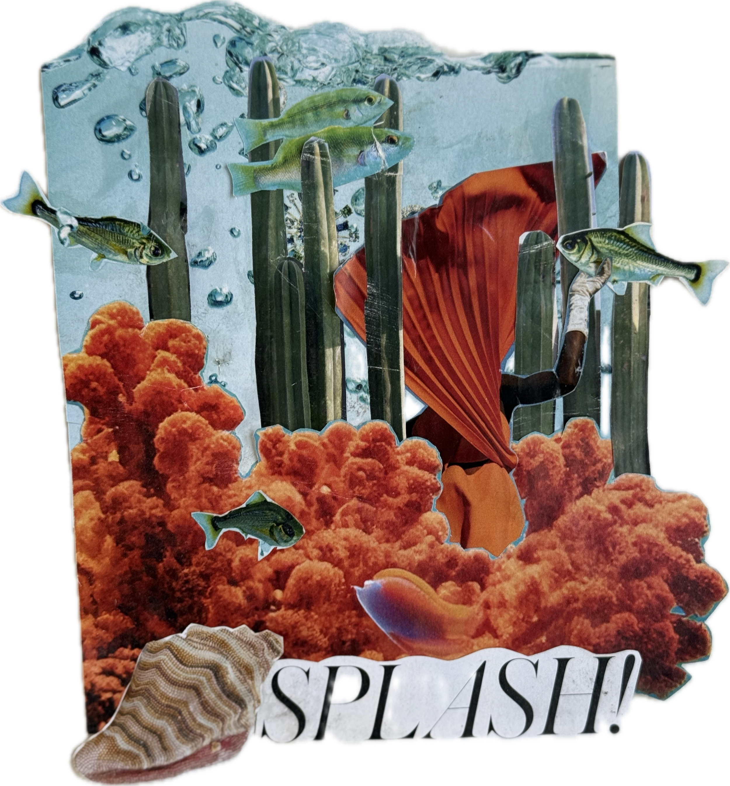 SPLASH! (2024)