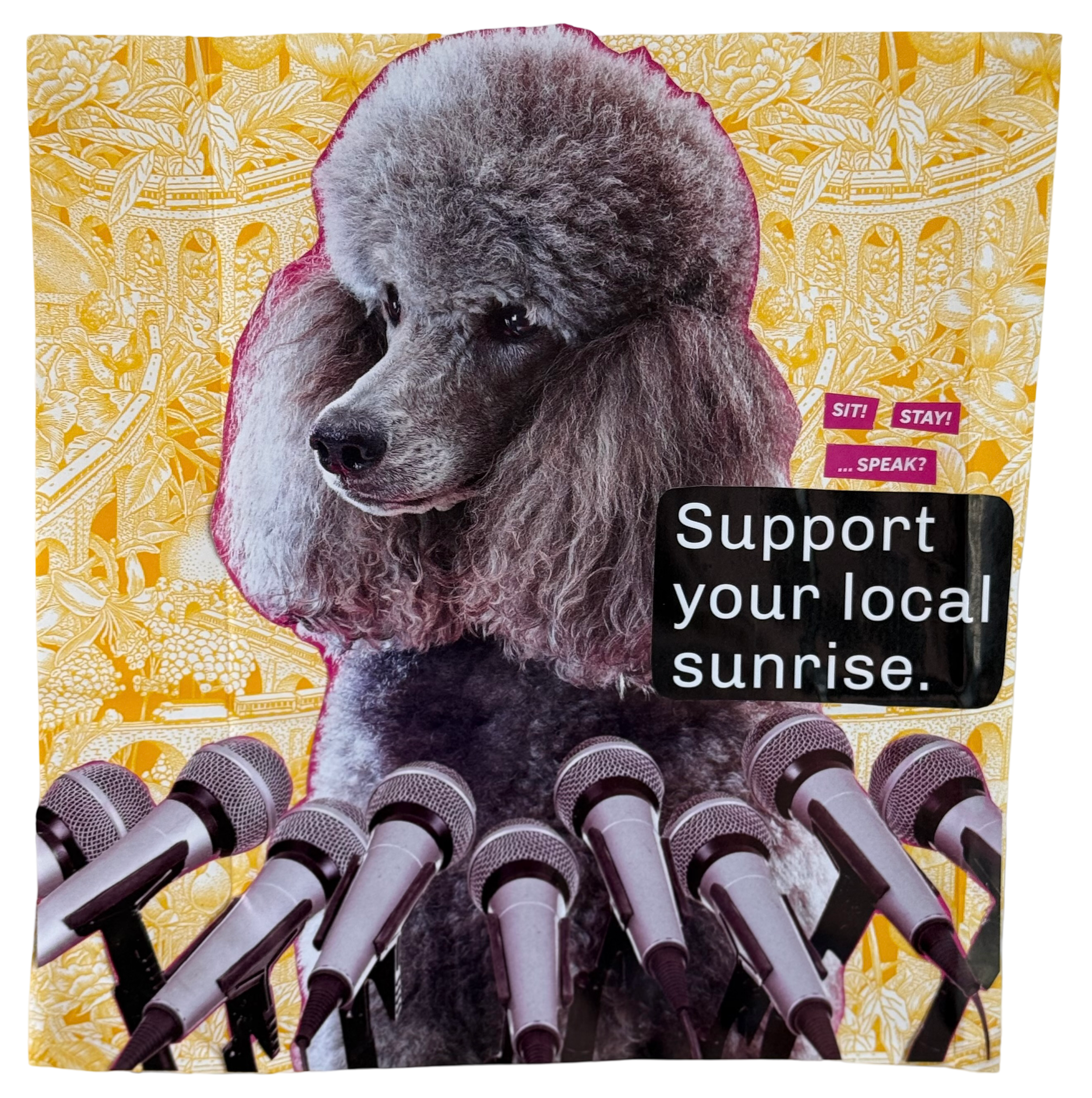 Sit! Stay! Speak? (2025)