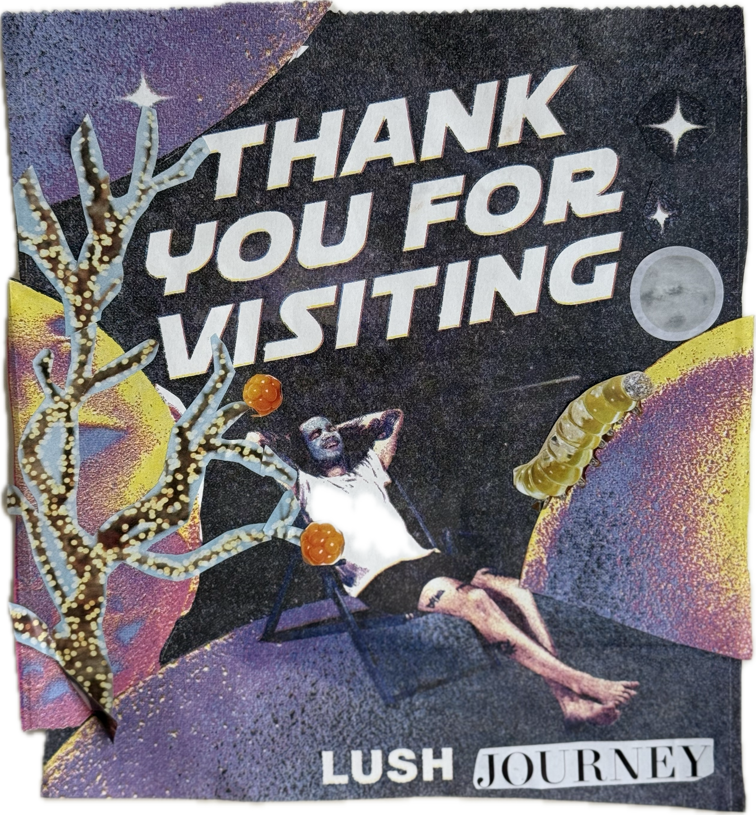 Lush Journey (2024)