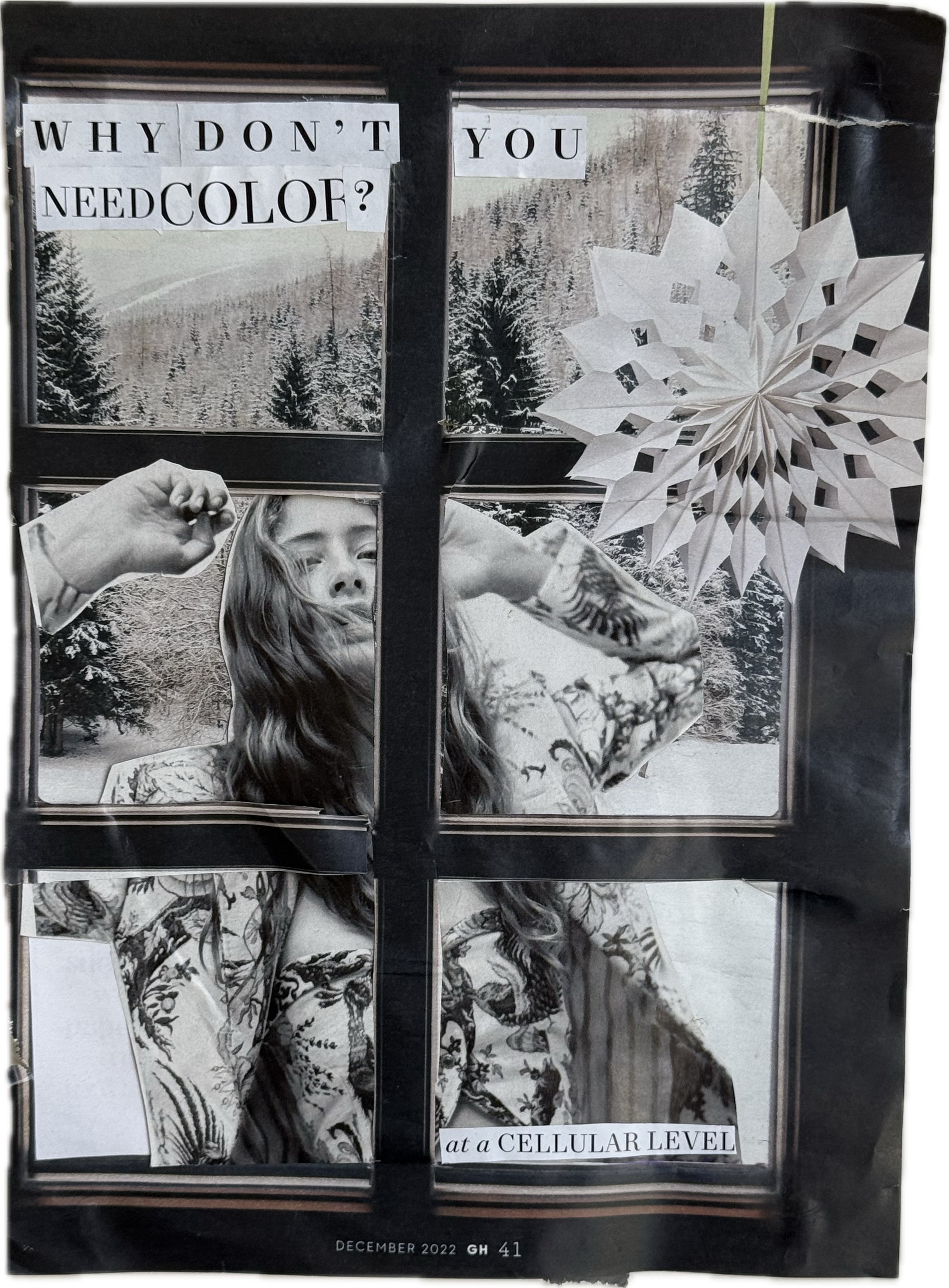 On a Cellular Level (2024)