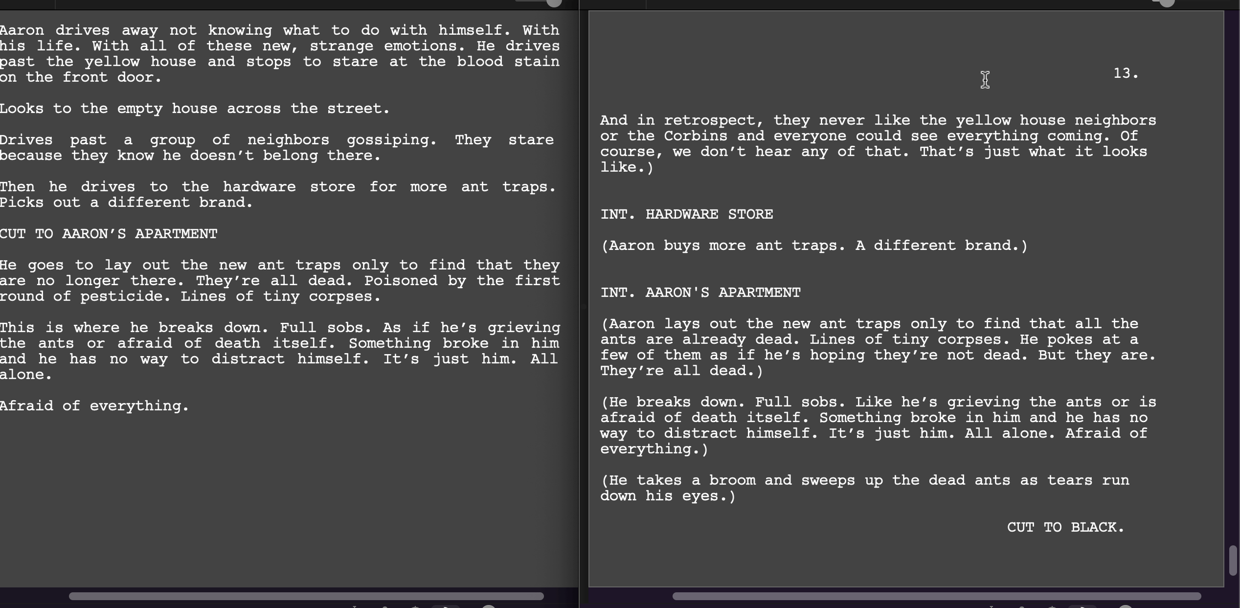 Treatment to script by Alison Rocket Ross using Final Draft Screenwriting Software