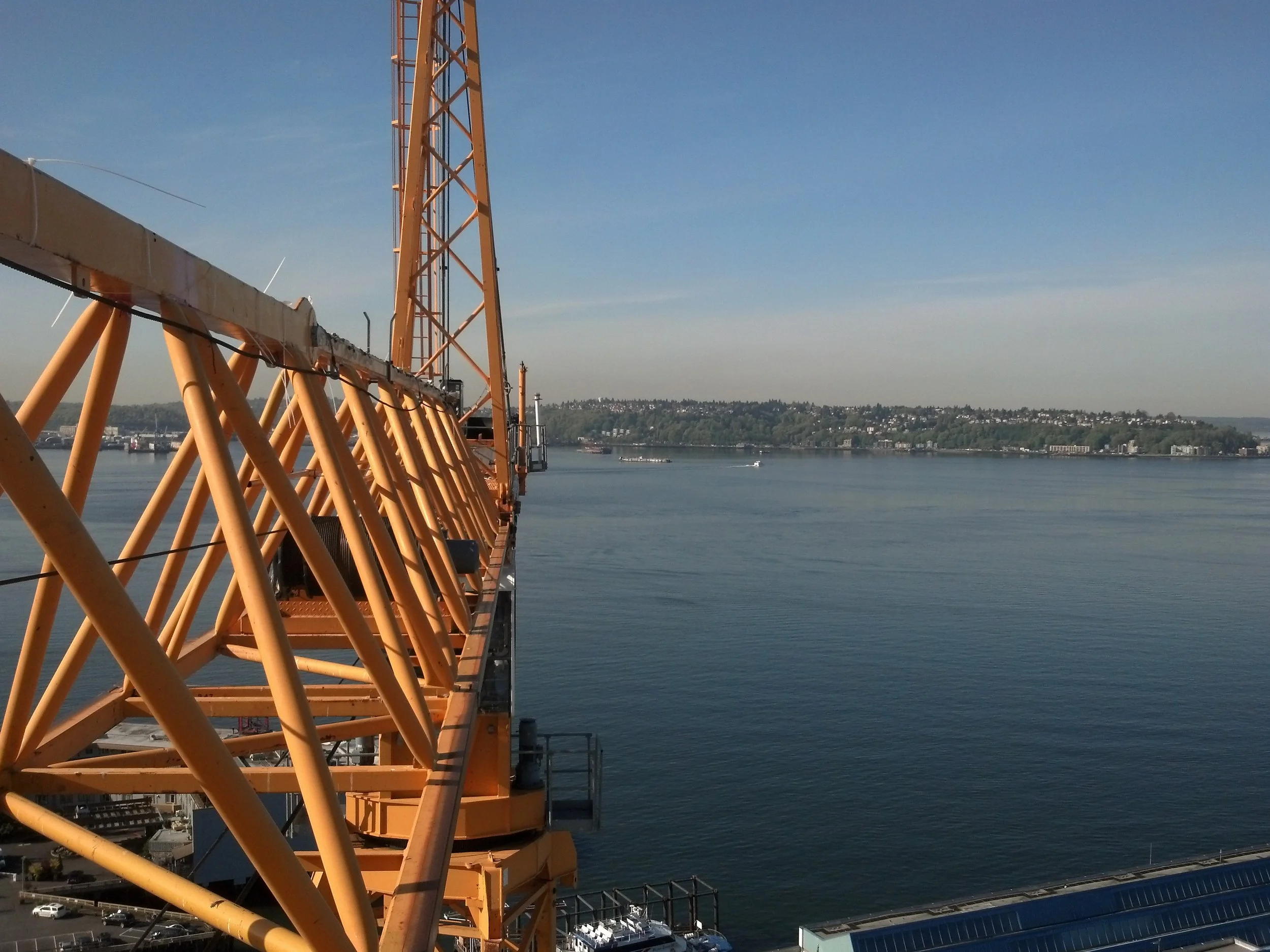 Crane looking over lake Washington