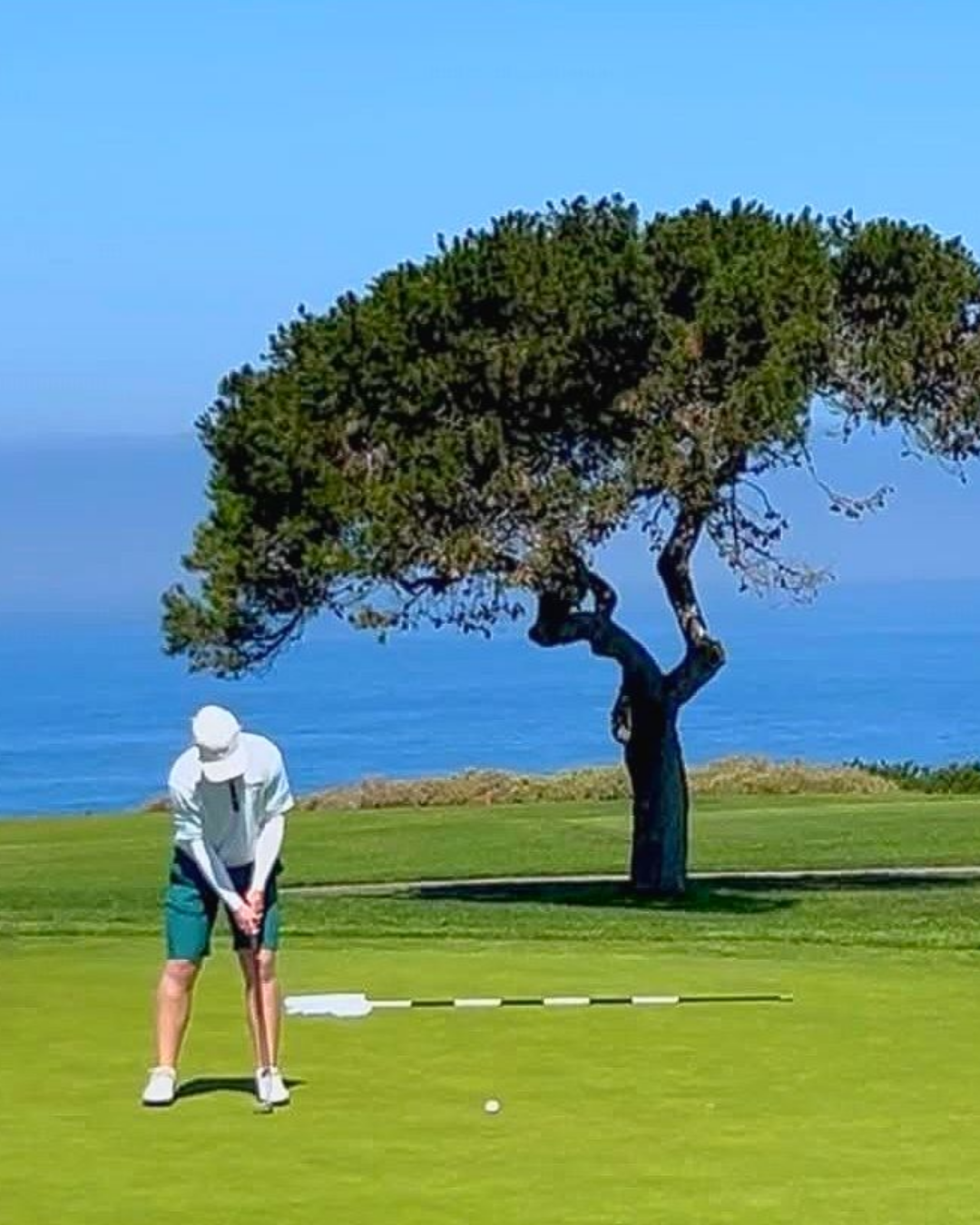A person preparing to putt a golf ball on a green near the ocean, with a tree and clear blue sky in the background.