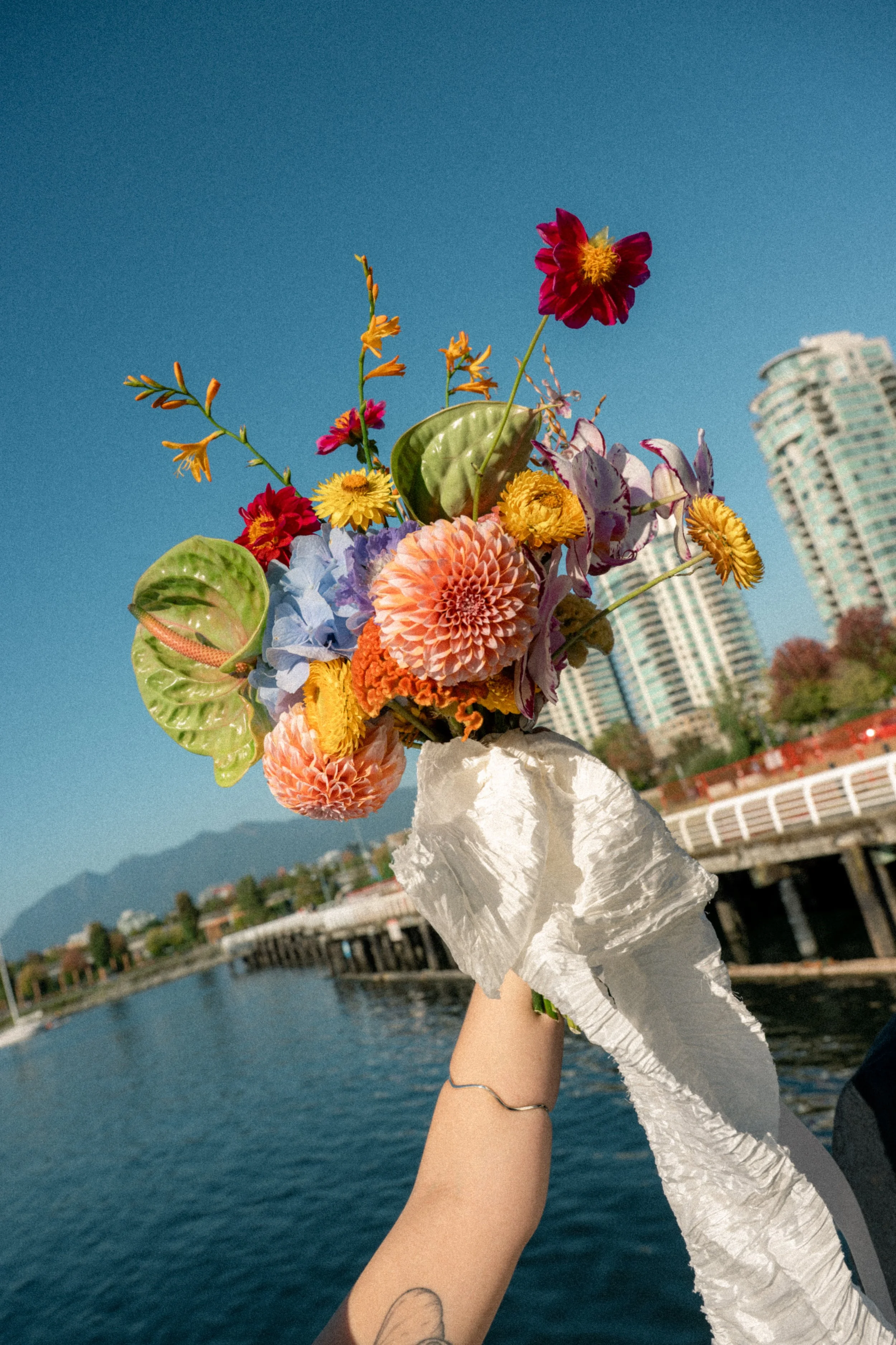 dan_26sofiaweddingradaweddingsphotographyvancouver-42.jpg