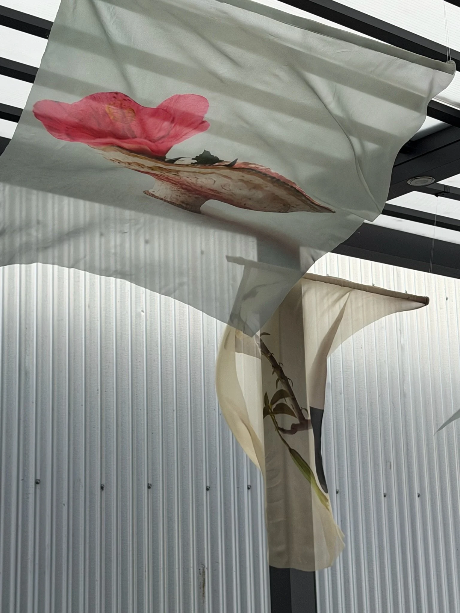 Close-up of a floral print paper hanging on a black window panel with metal siding in the background.