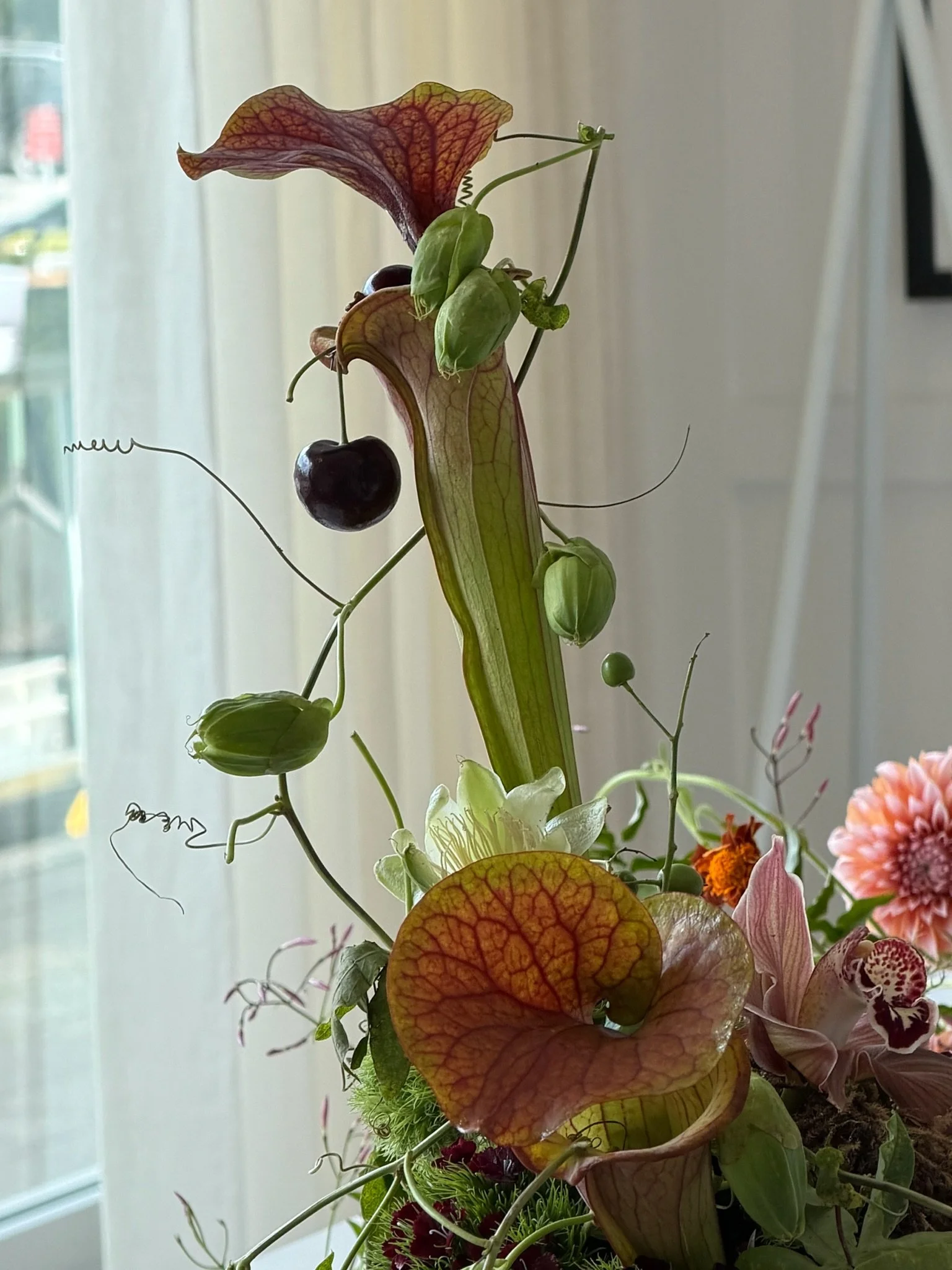 A floral arrangement featuring a variety of flowers and greenery, including a prominent green pitcher plant with tall, striped leaves, and colorful flowers with pink, red, and orange petals, set against a window with curtains in the background.