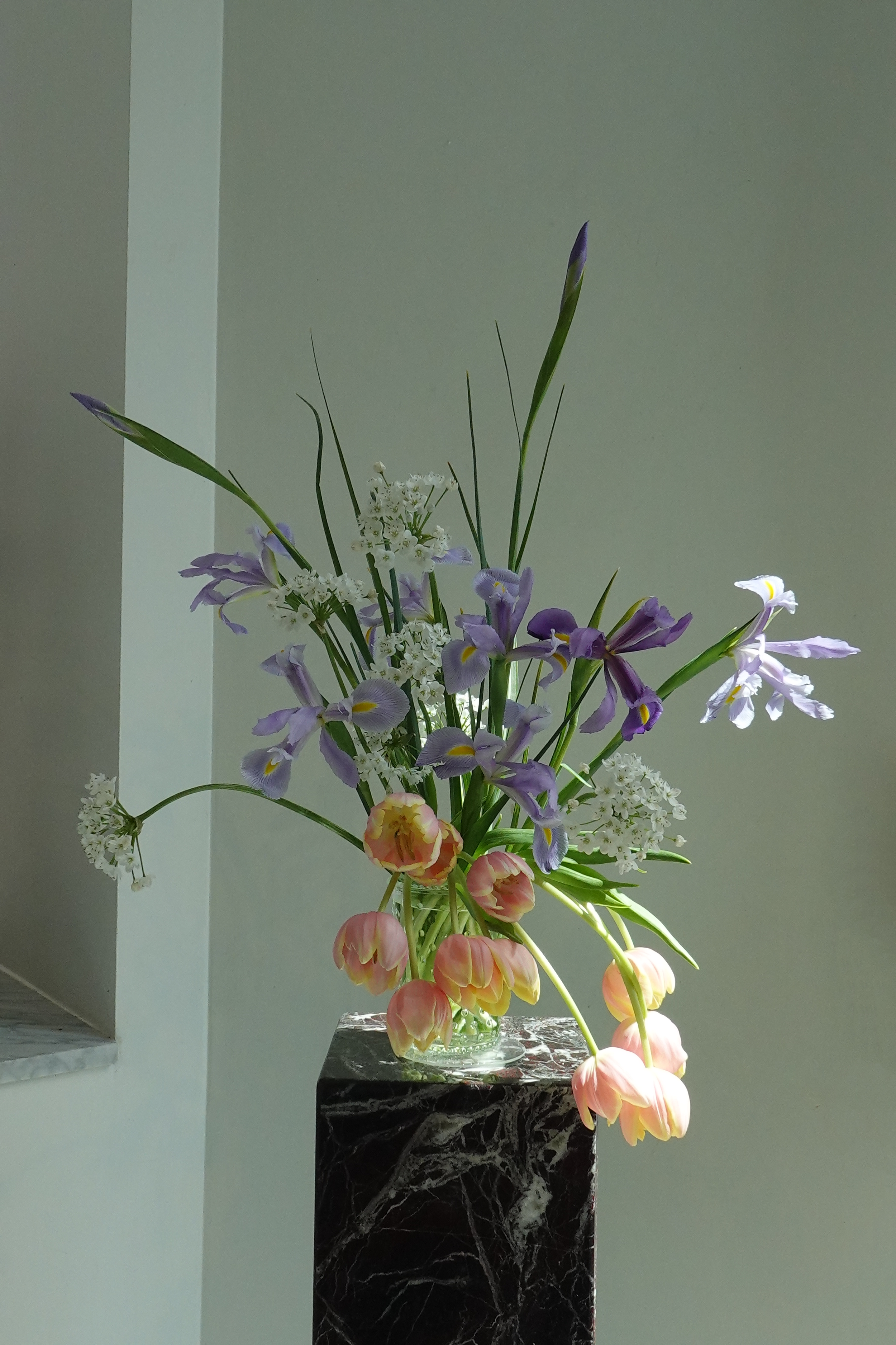 DSC02169.png