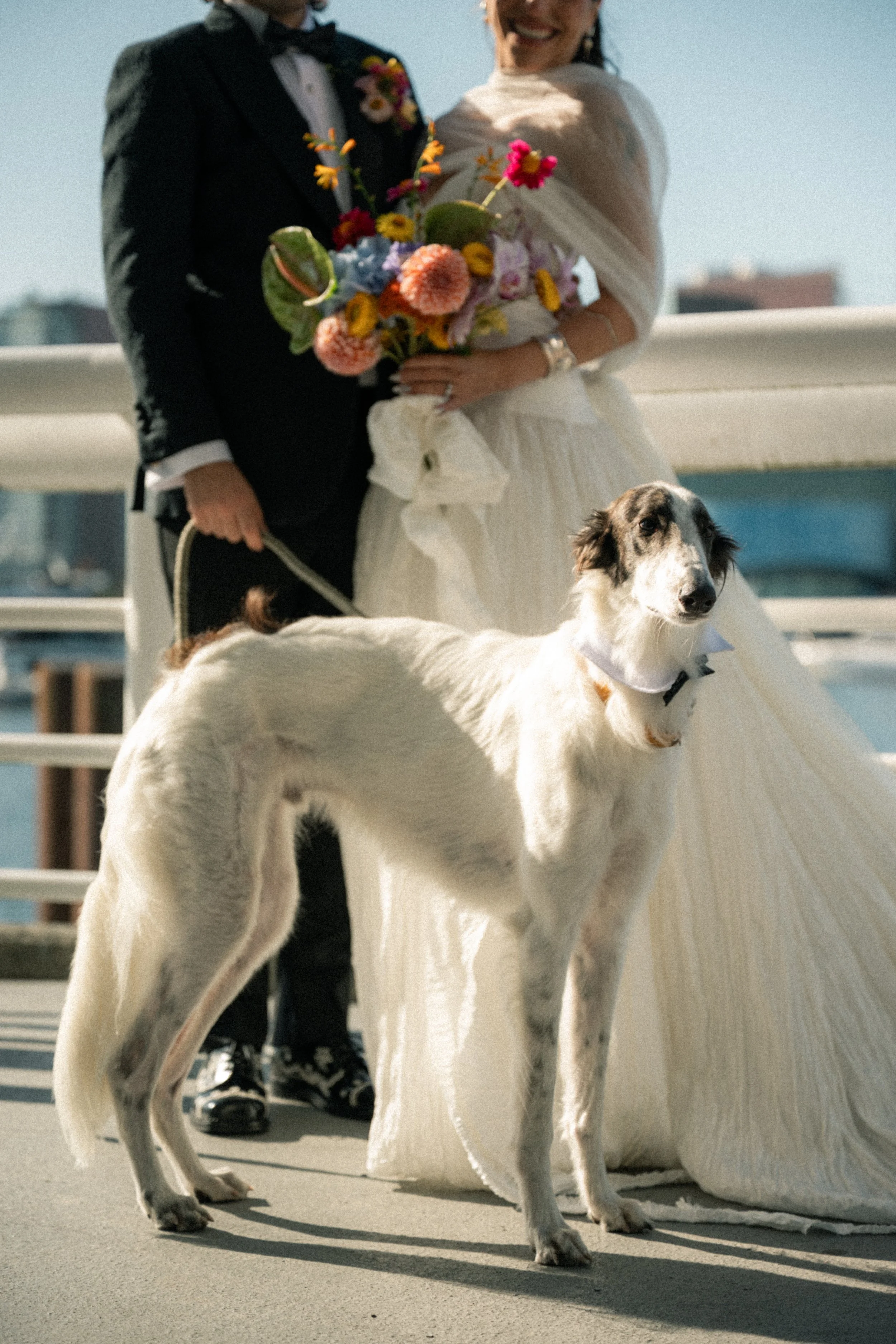 dan_26sofiaweddingradaweddingsphotographyvancouver-30.jpg