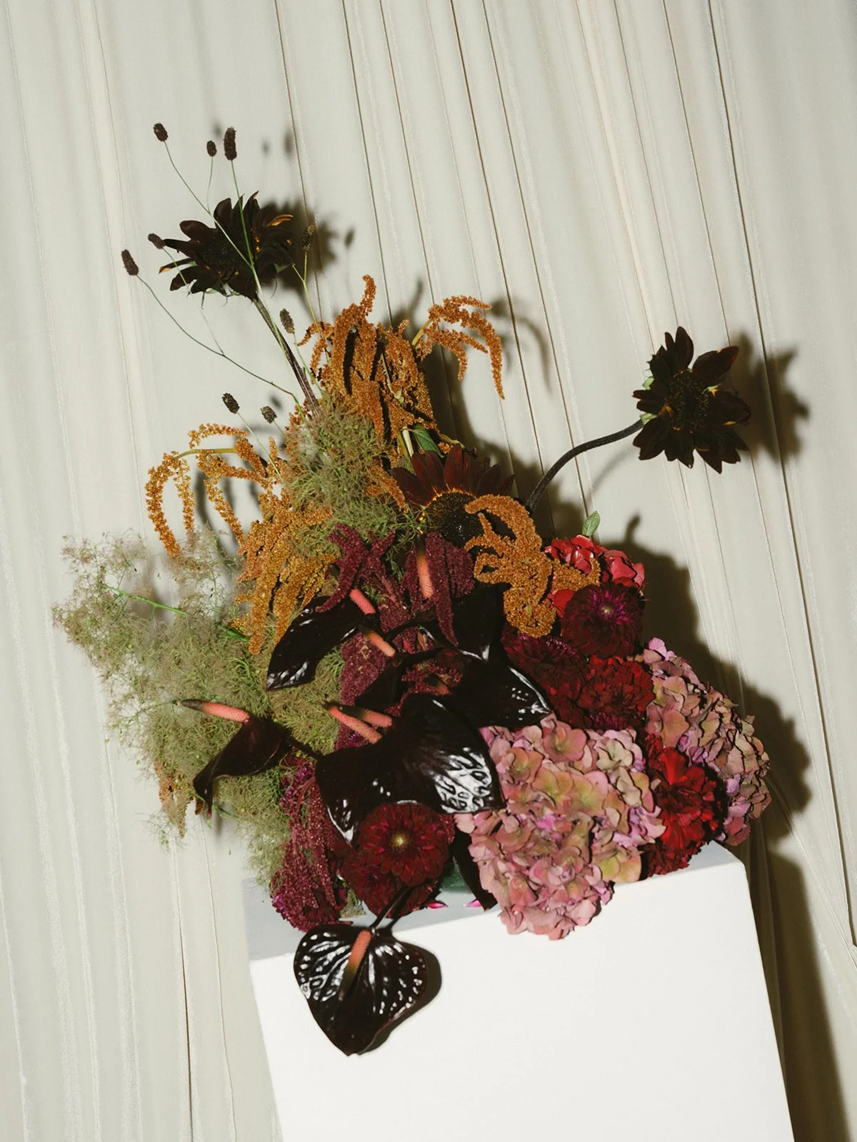 Photos by hennygraphy