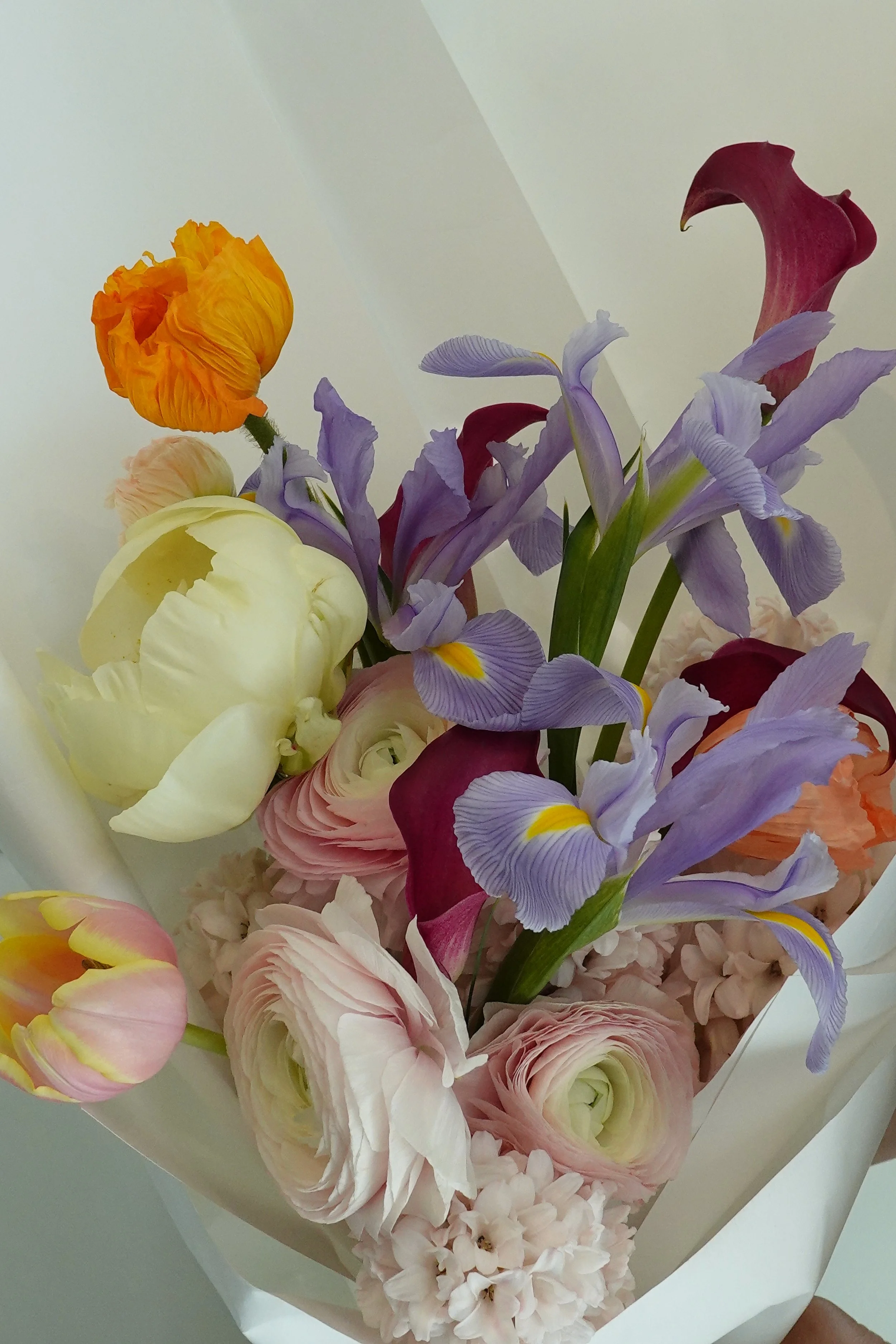DSC02153-2.jpg