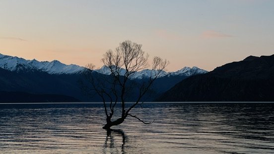 C6C3DDF1-1003-494B-B0F5-F195E9662E44_4_5005_c.jpeg