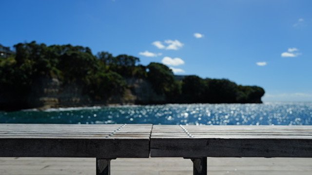 043D9751-D3A8-4A00-AA24-0621E3F5CF41_4_5005_c.jpeg