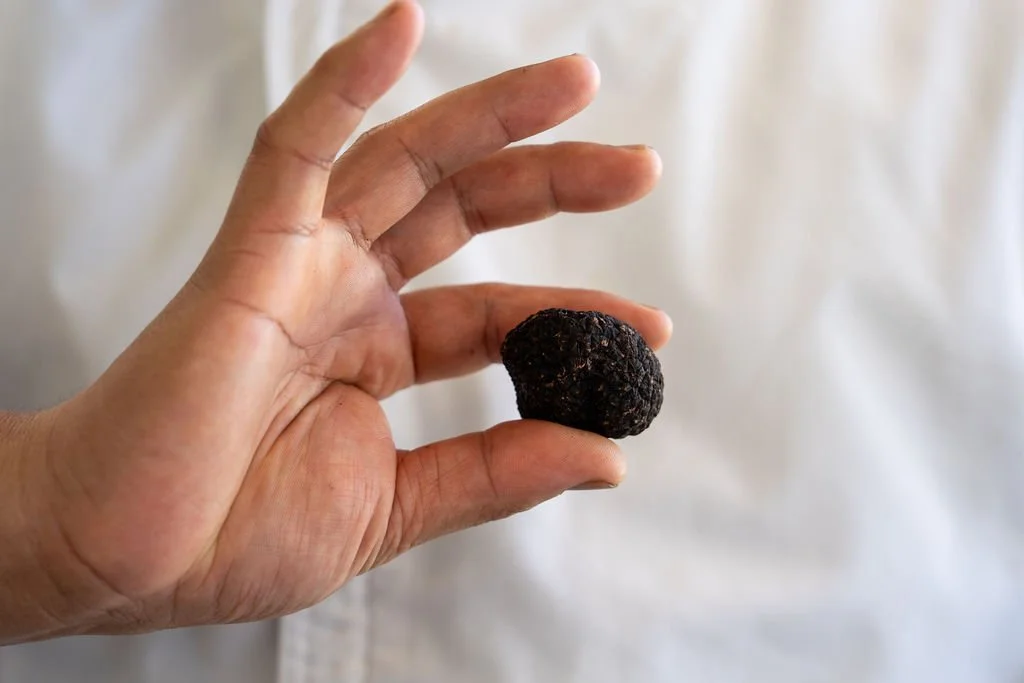Truffle Season at Vineria Luisa