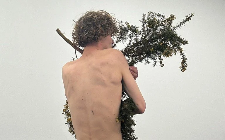 Jack Ellery C U T Gorse 2024. Enjoy Contemporary Art Space. Image courtesy of DJCS..jpg