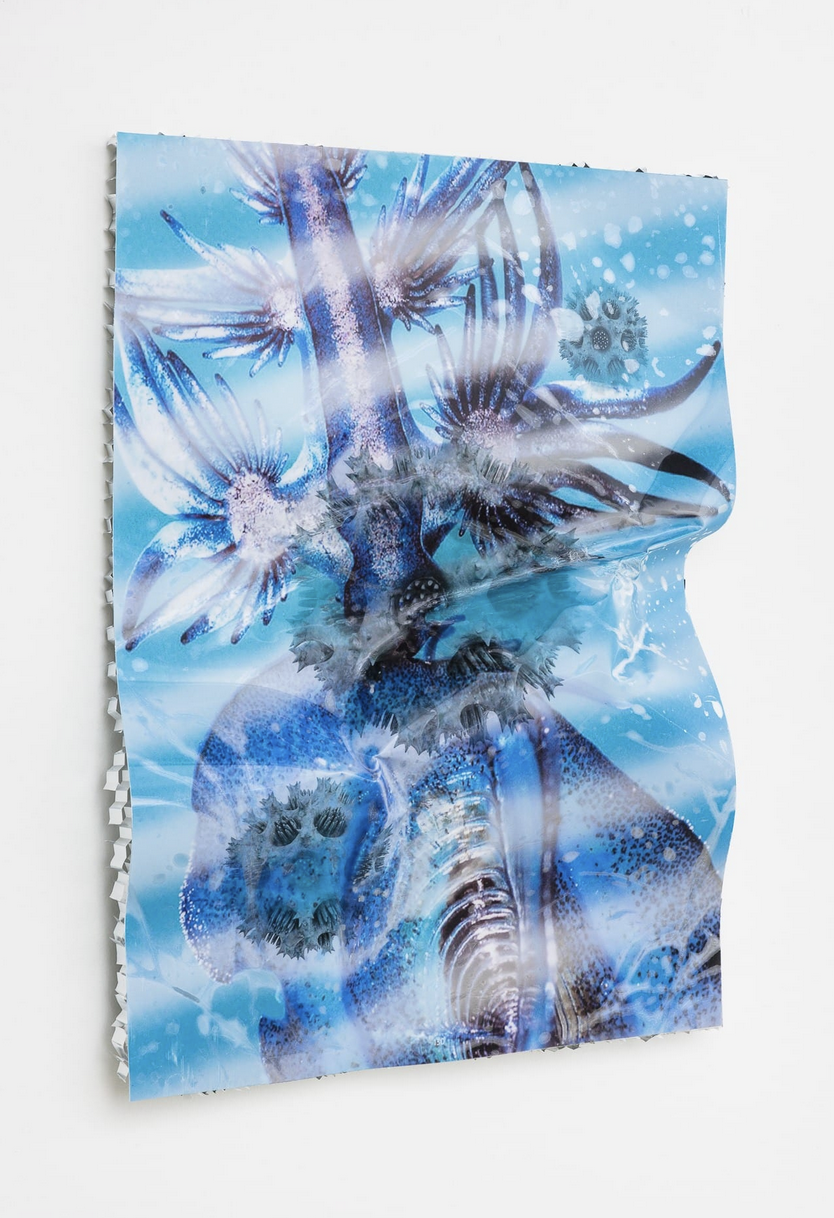 Estrid Lutz, Collapse 0000003, 2023 R.png