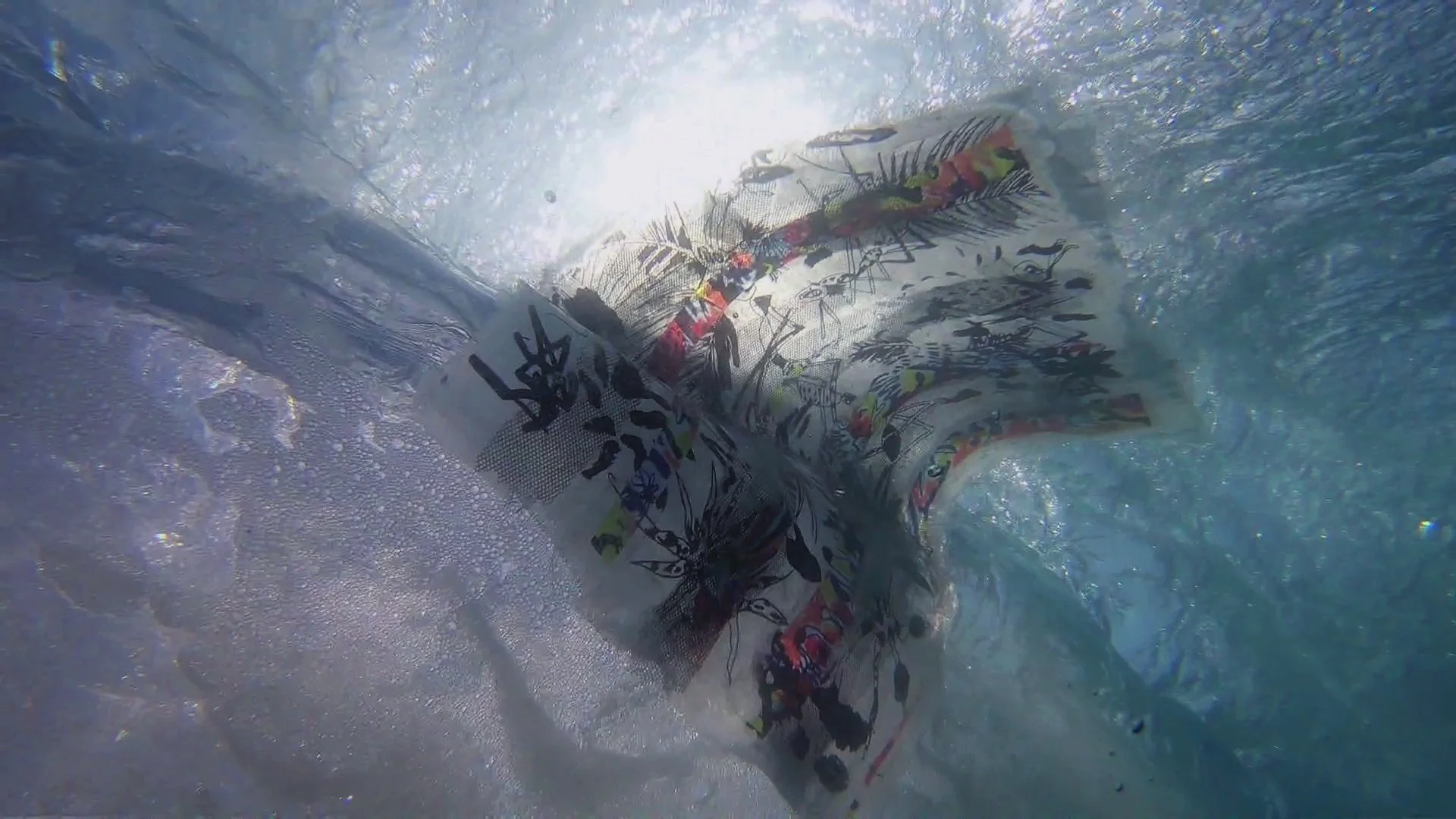 mosquiteos disappears in ground swells 1.jpg