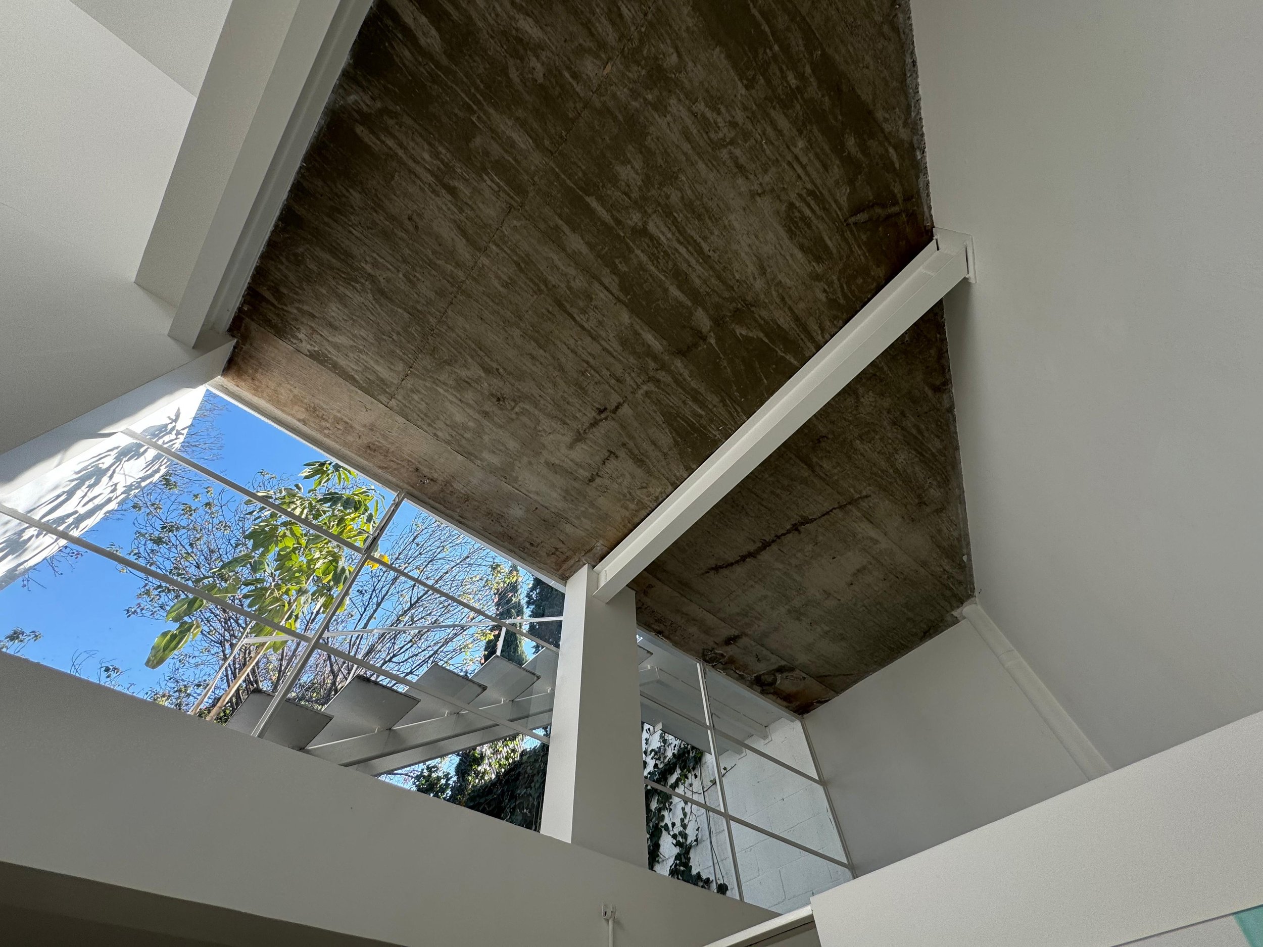 16 Georgina Pounds Art Guides World Mexico.jpeg