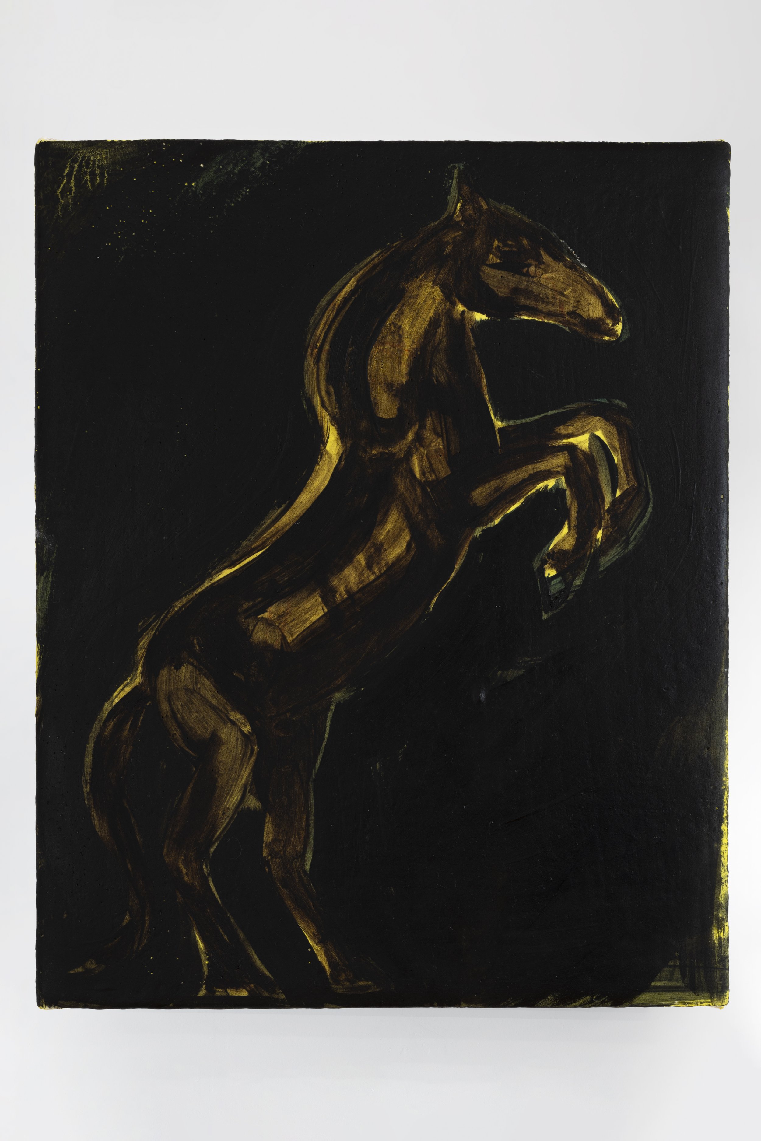 06_Granara, Cecilia_Black horse from a dream, 2026.jpg