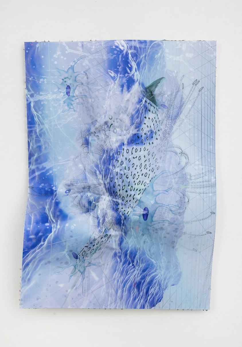 Estrid Lutz, Collapse 0000001, 2023 F.png