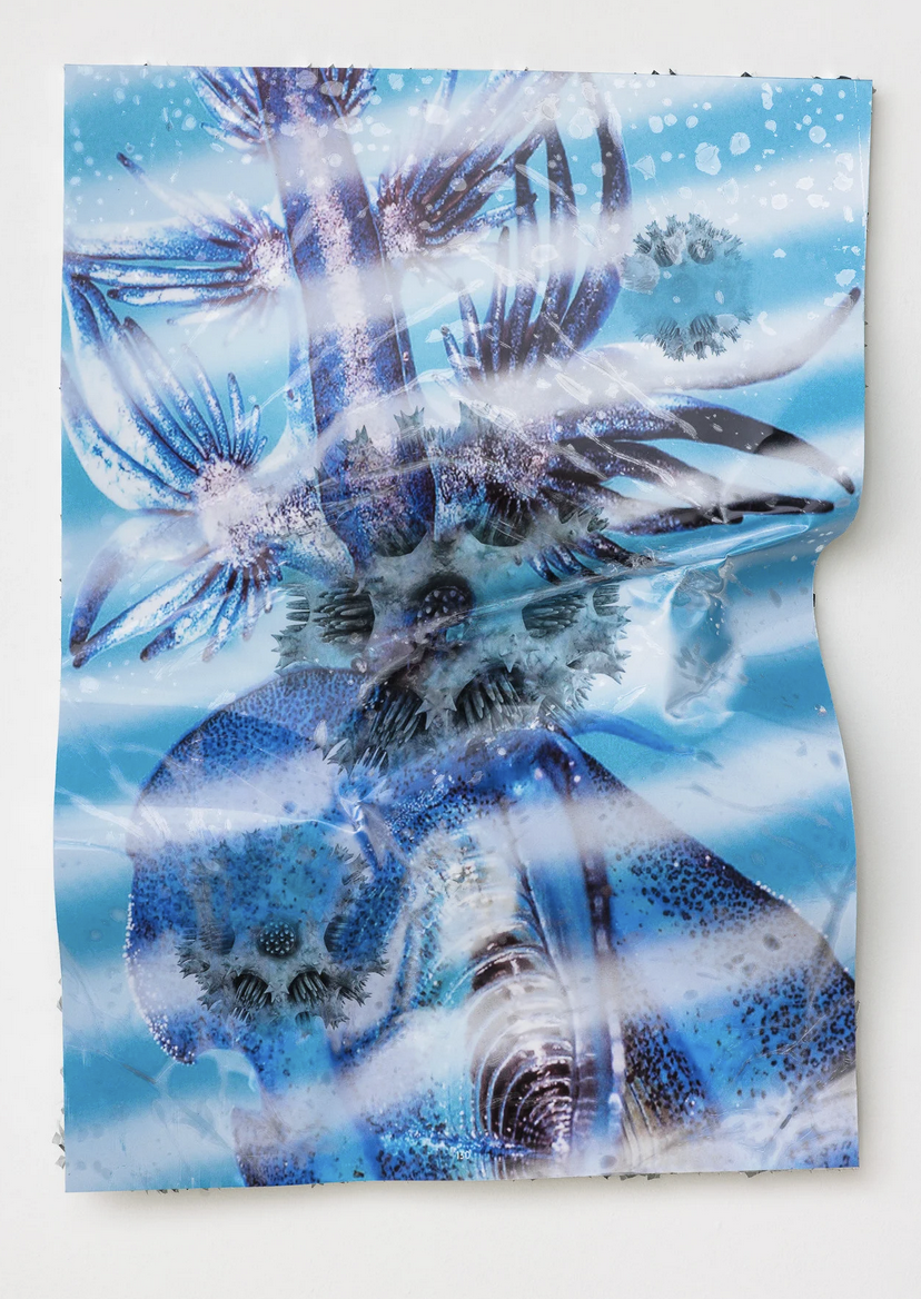 Estrid Lutz, Collapse 0000003, 2023 F.png