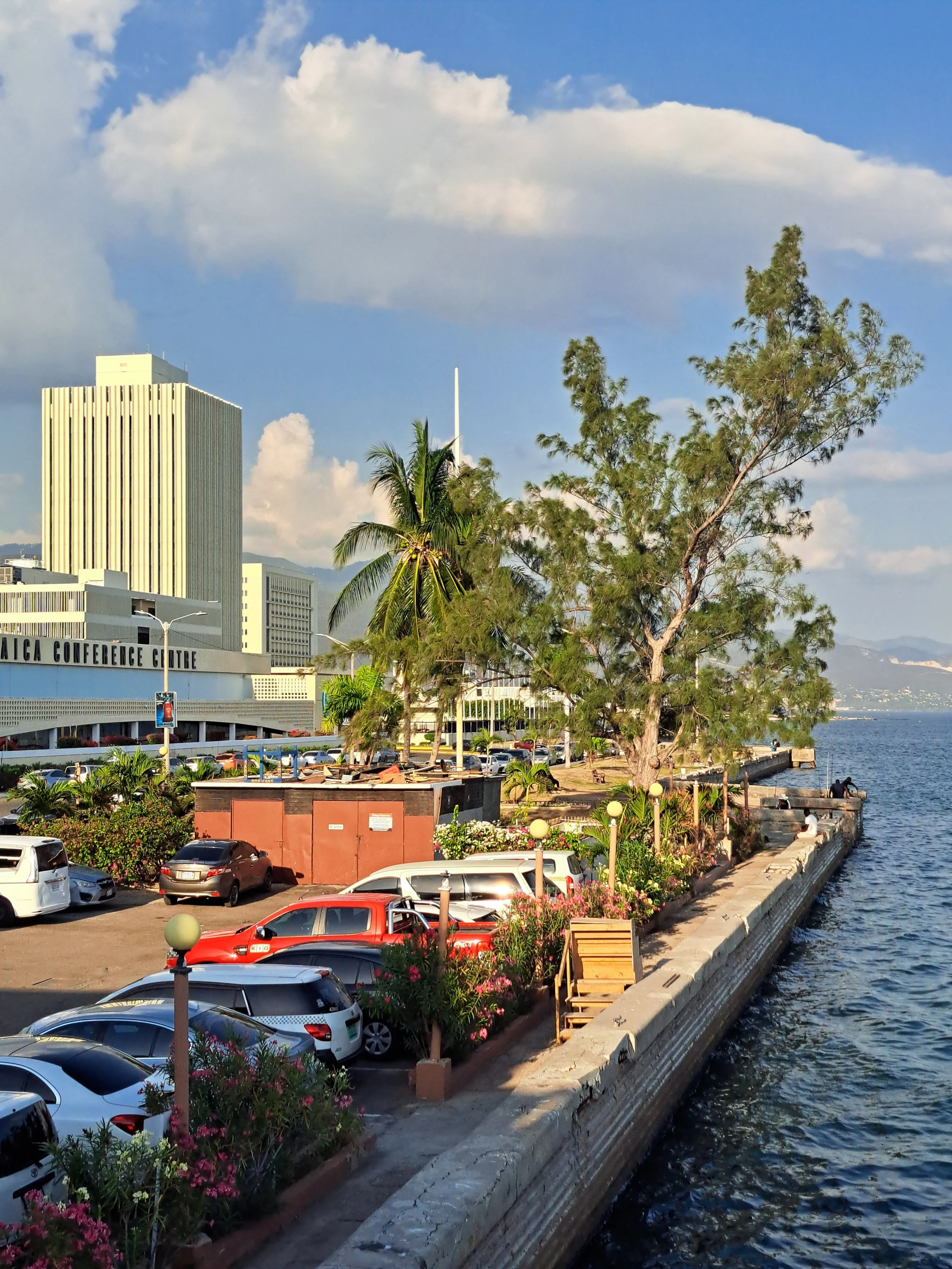A waterfront promenade with parked cars, flowering bushes, and trees, overlooking the water with buildings and a cloudy sky in the background. This is located Downtown Kingston Jamaica , kgn Jamaica.