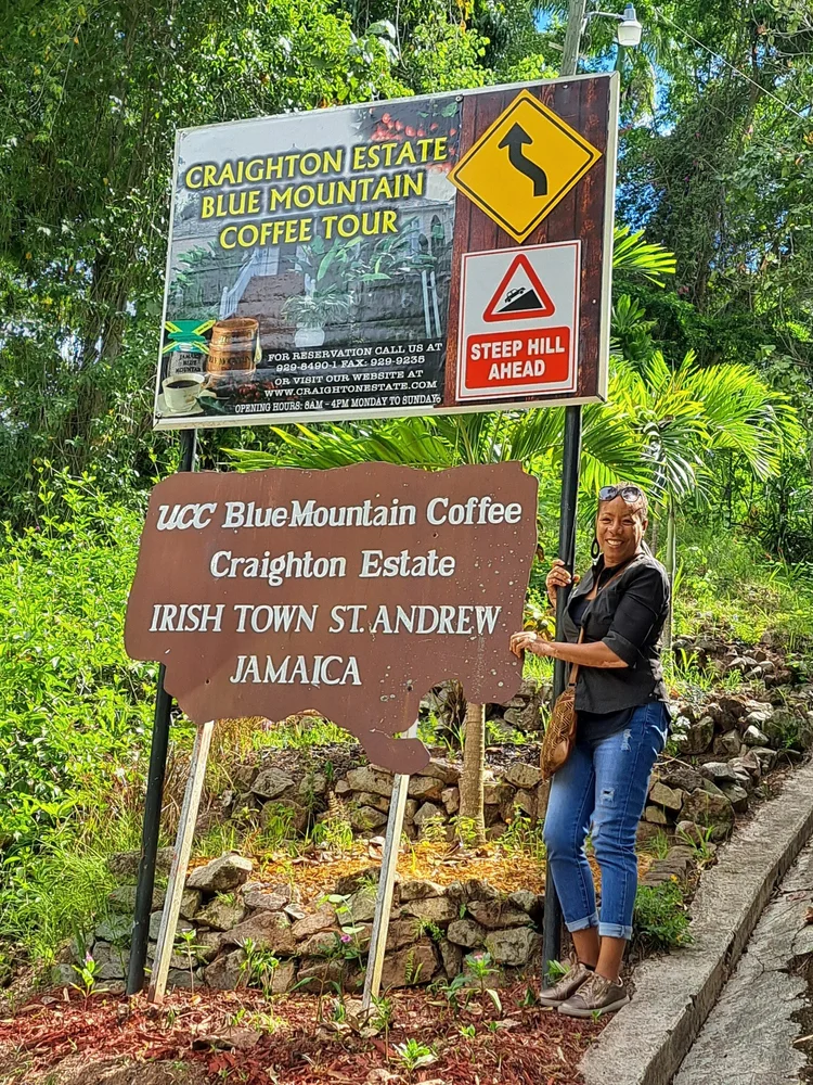 Custom Tours Blue Mountains