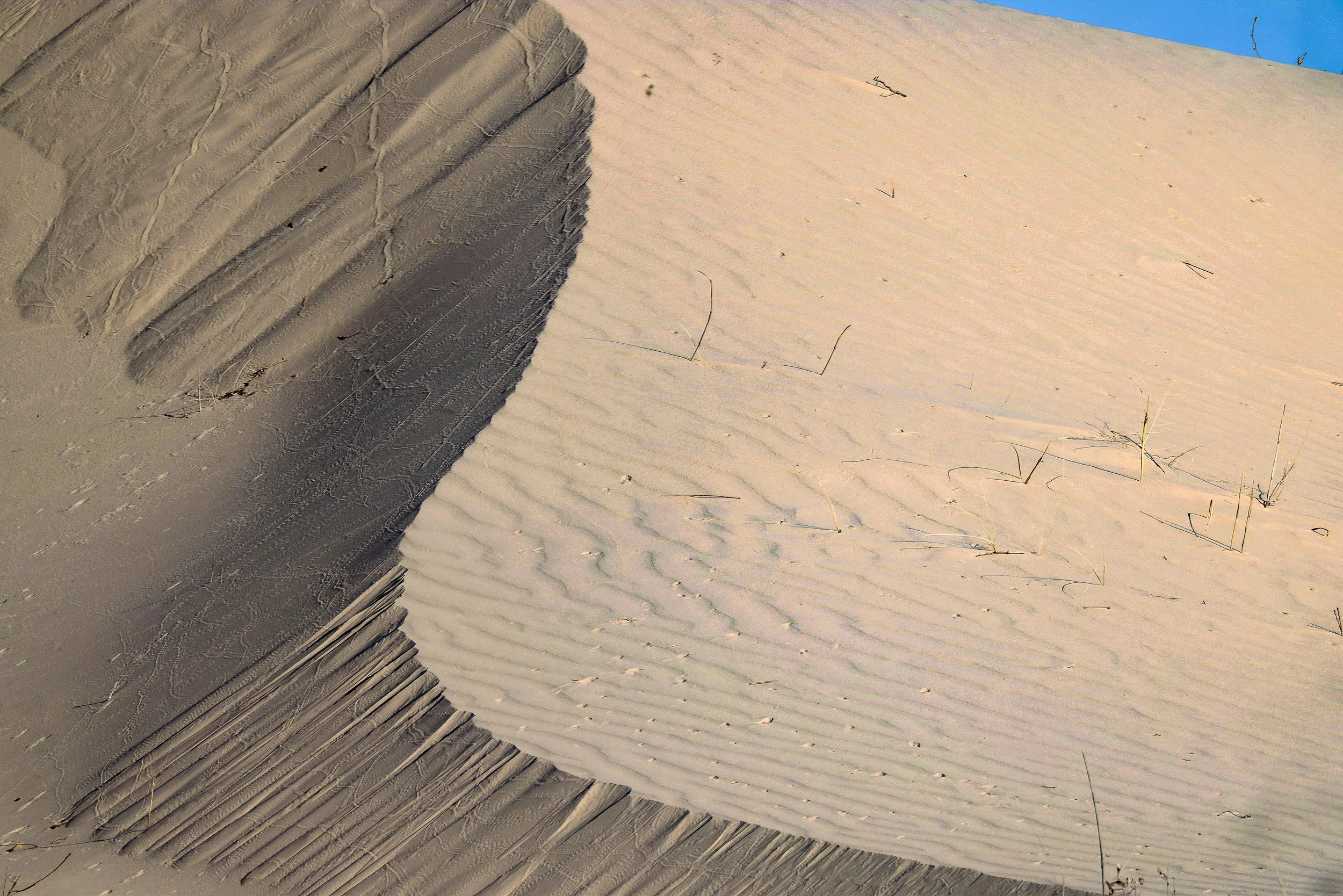 Sand dunes-3.jpg