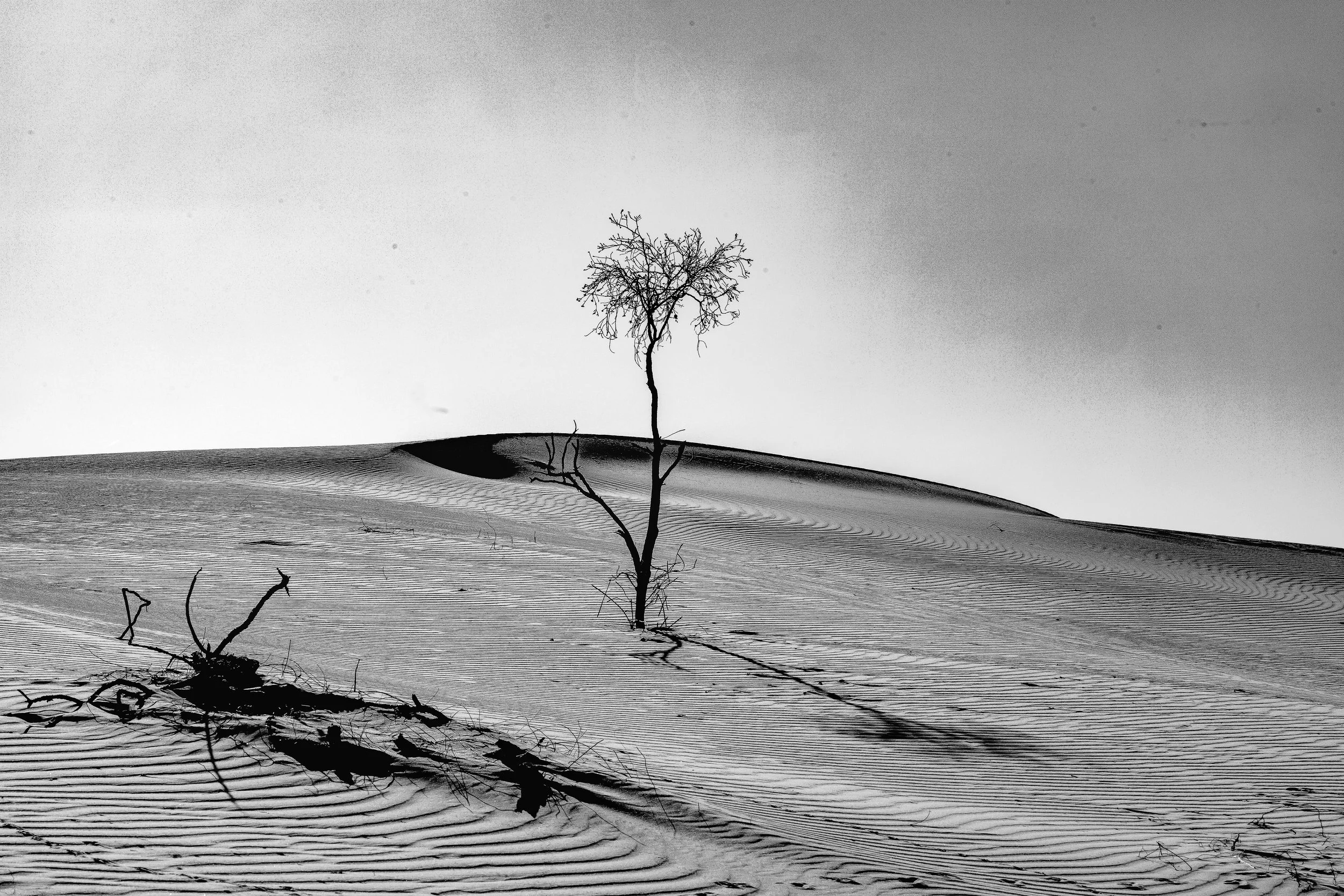 Monahans Sand Dunes.jpg