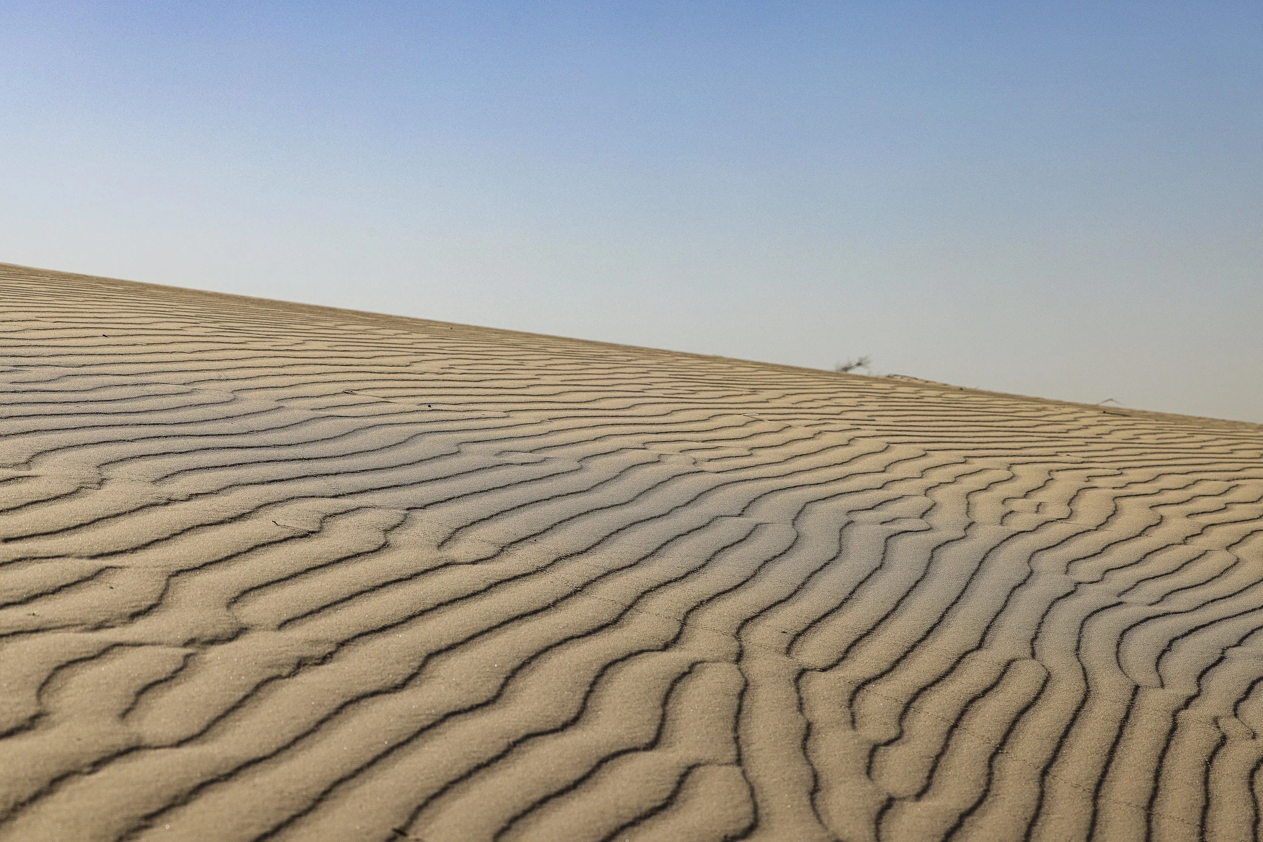 Monahans Sand Dunes-2.jpg