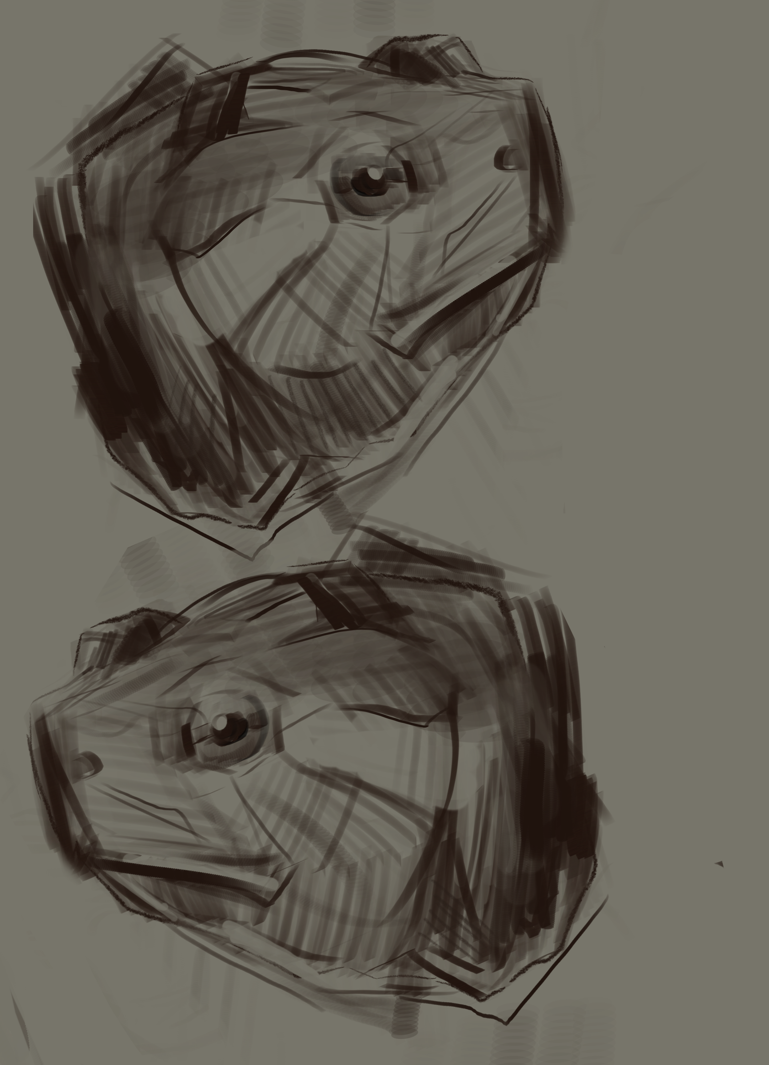 Turtle Face Study, 2024