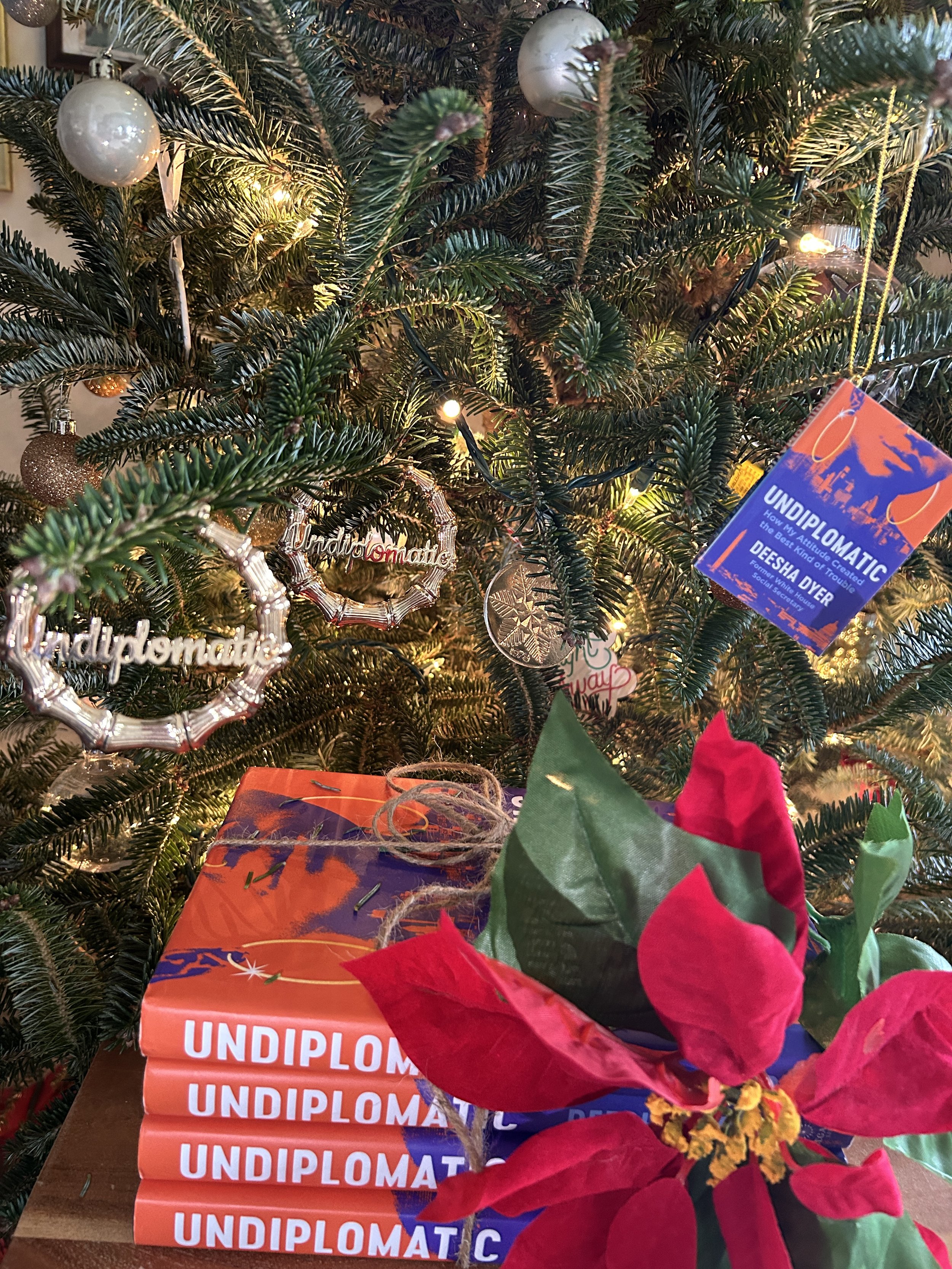 Undiplomatic Book Signed &amp; Shipped