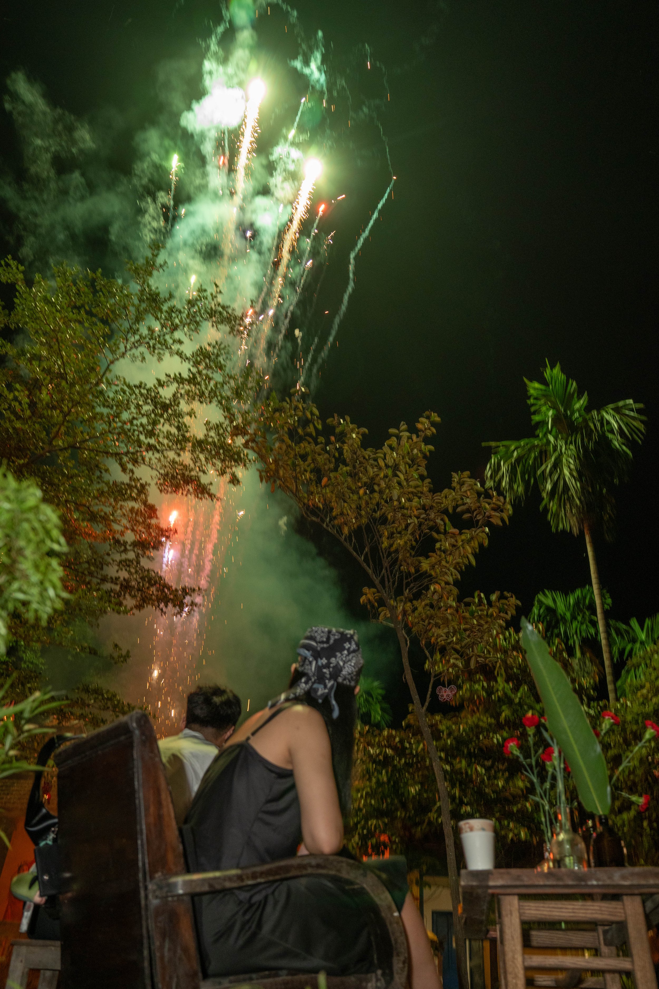 People watching fireworks display at night, with trees and plants in the foreground.