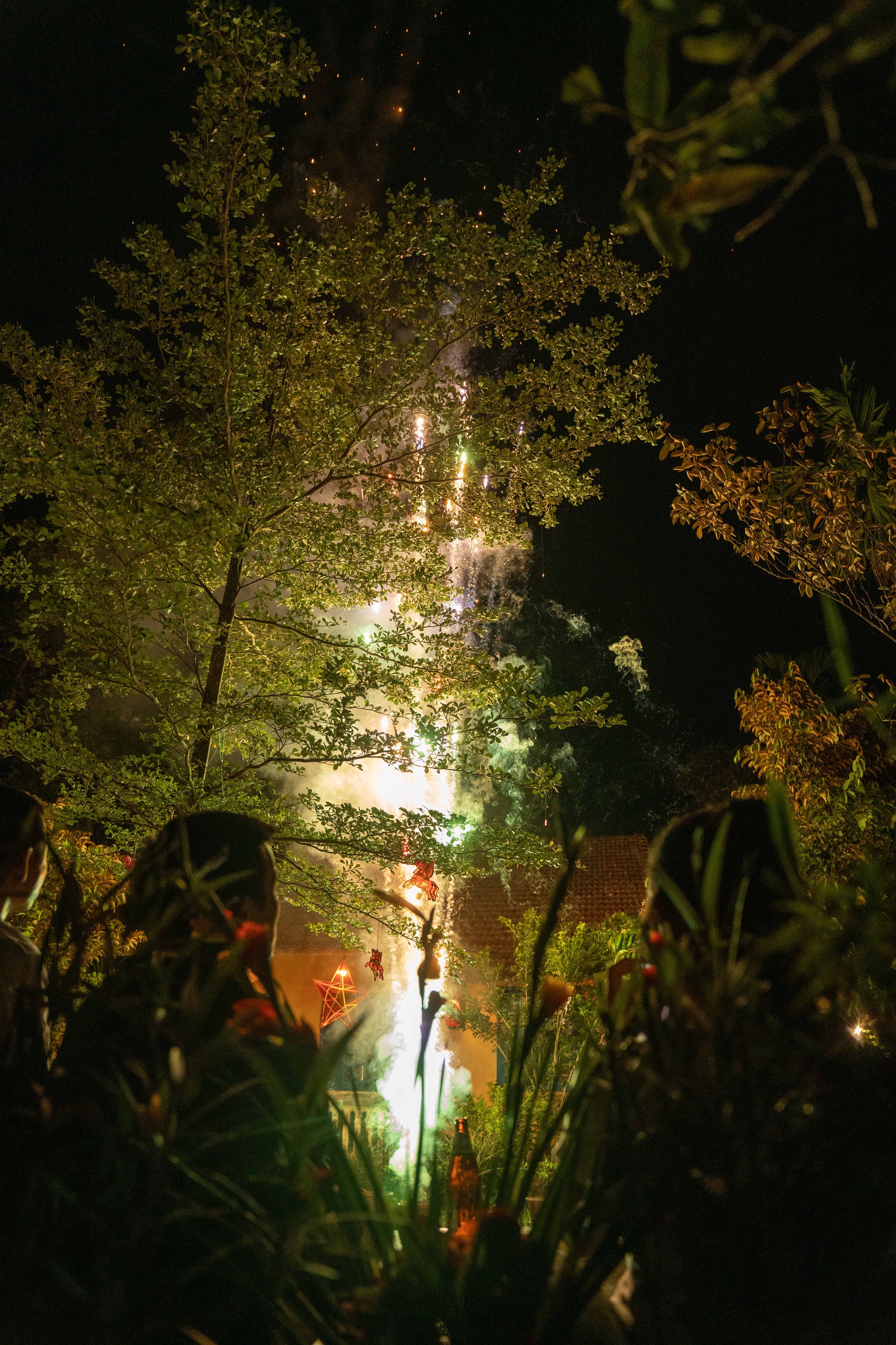 Nighttime celebration with fireworks, trees, and silhouettes of people watching the display.