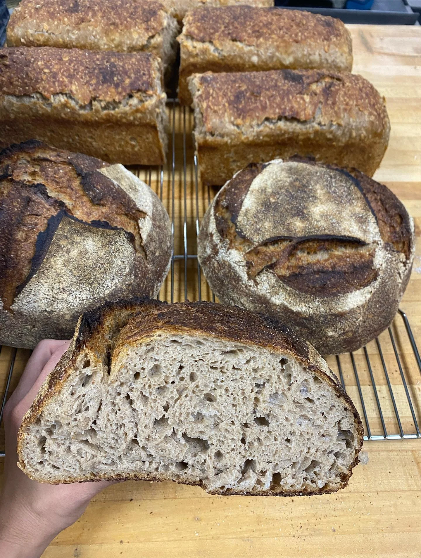 I&rsquo;m consistently baking on Wednesdays right now. Orders are going live on Friday morning at my HotPlate. I have been showing up to @cloudmountainkombucha for Wed pick-ups and have had the chance to meet so many more of my customers, new ones an