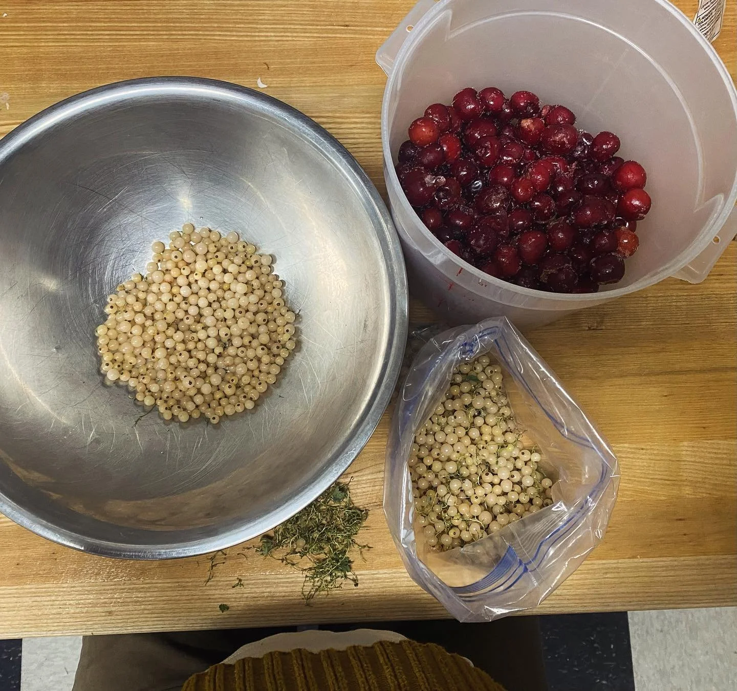 Sitting at my prep table the other day, thinking about the honor of getting to grow another human, my other two favorite humans at home playing, all while I got to sit there and sort through beautiful white currants to go into a jam with the last of 